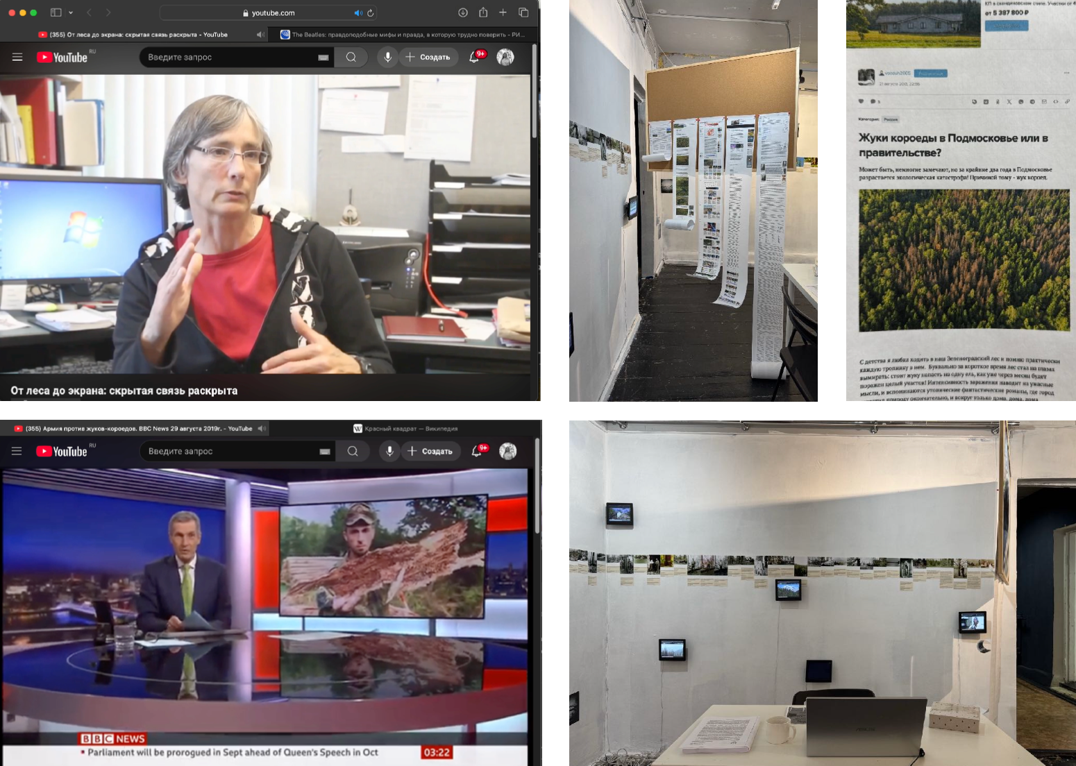 Beetlemania. Лера Круглова