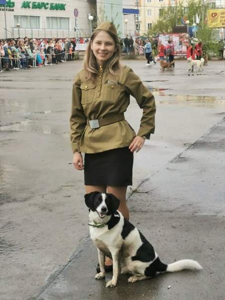 Праздник посвященный героям ВОВ-кинологам и их собакам. НРОО КЦ "Собаковод"