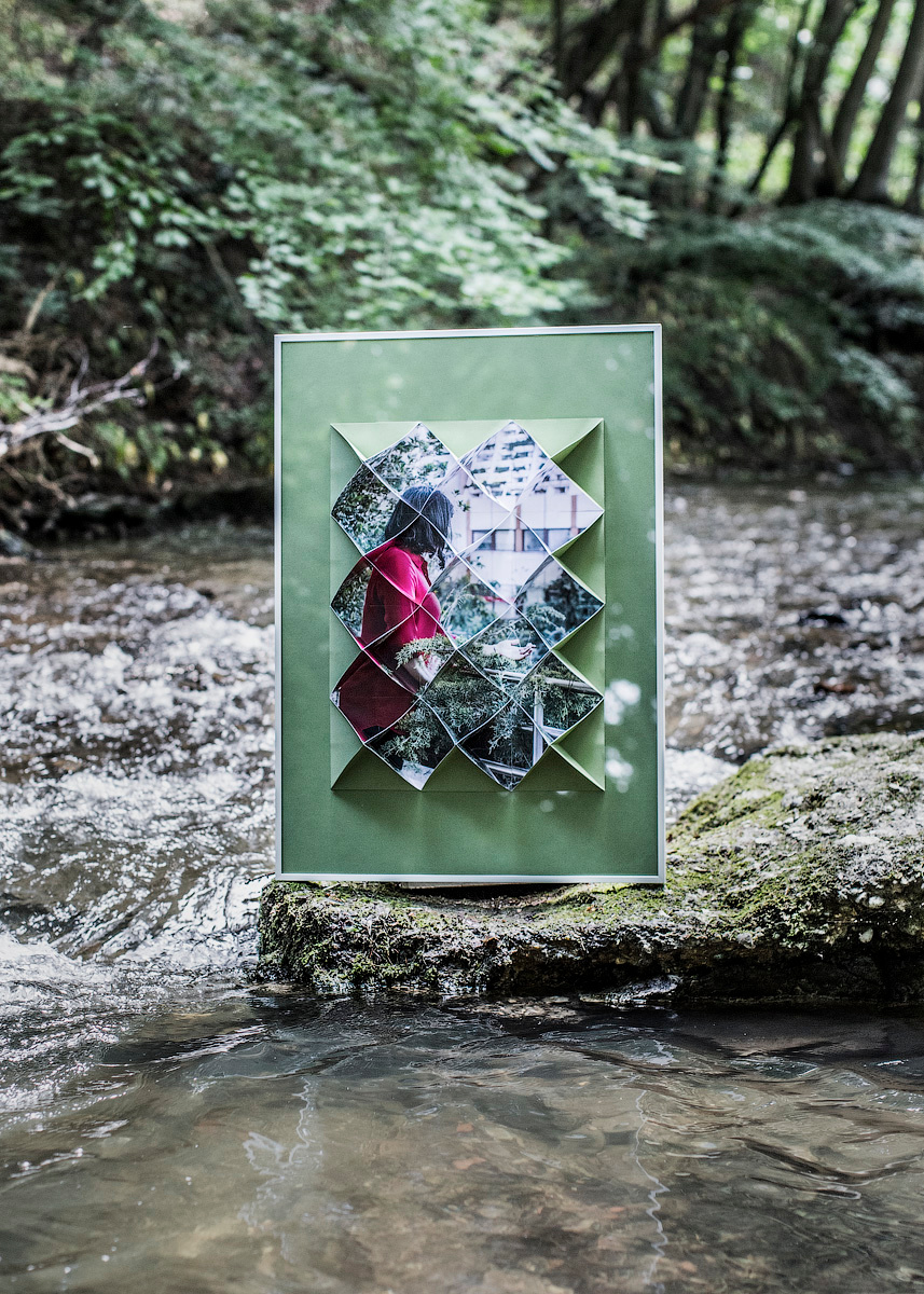 A Name for a Tree by Elena Anosova