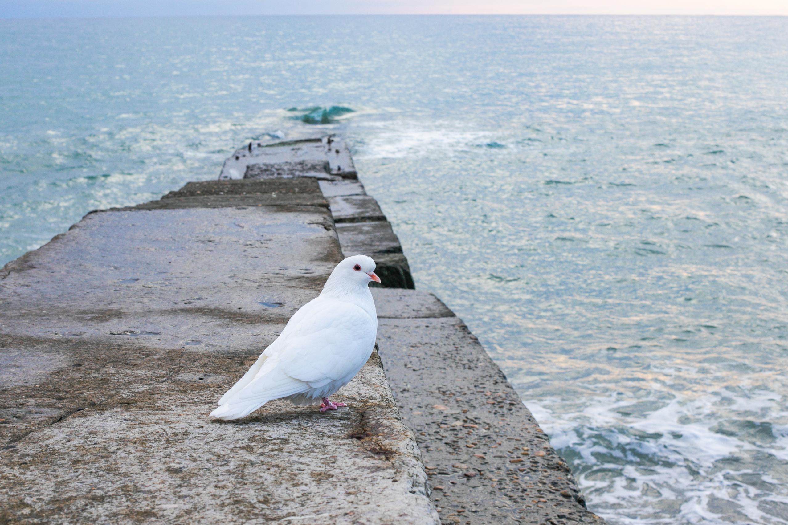 Фотографии для интерьера. Фотограф спортивных мероприятий в Москве