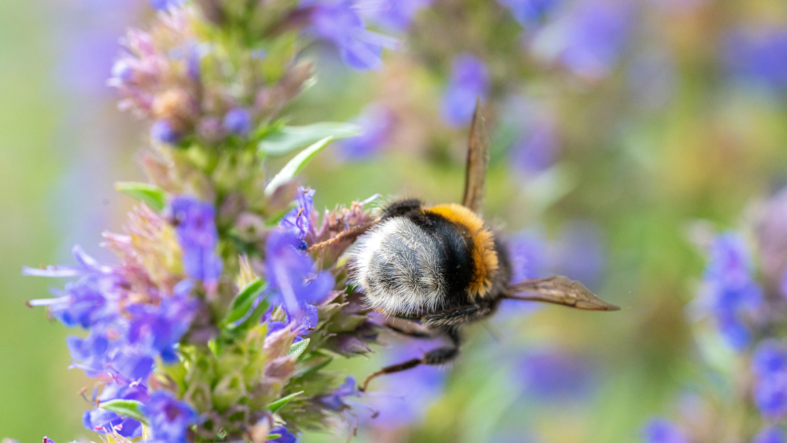 ПОБУДЬ ЗДЕСЬ И ЦЕЛЕЕ БУДЕТ ЭТОТ МИР