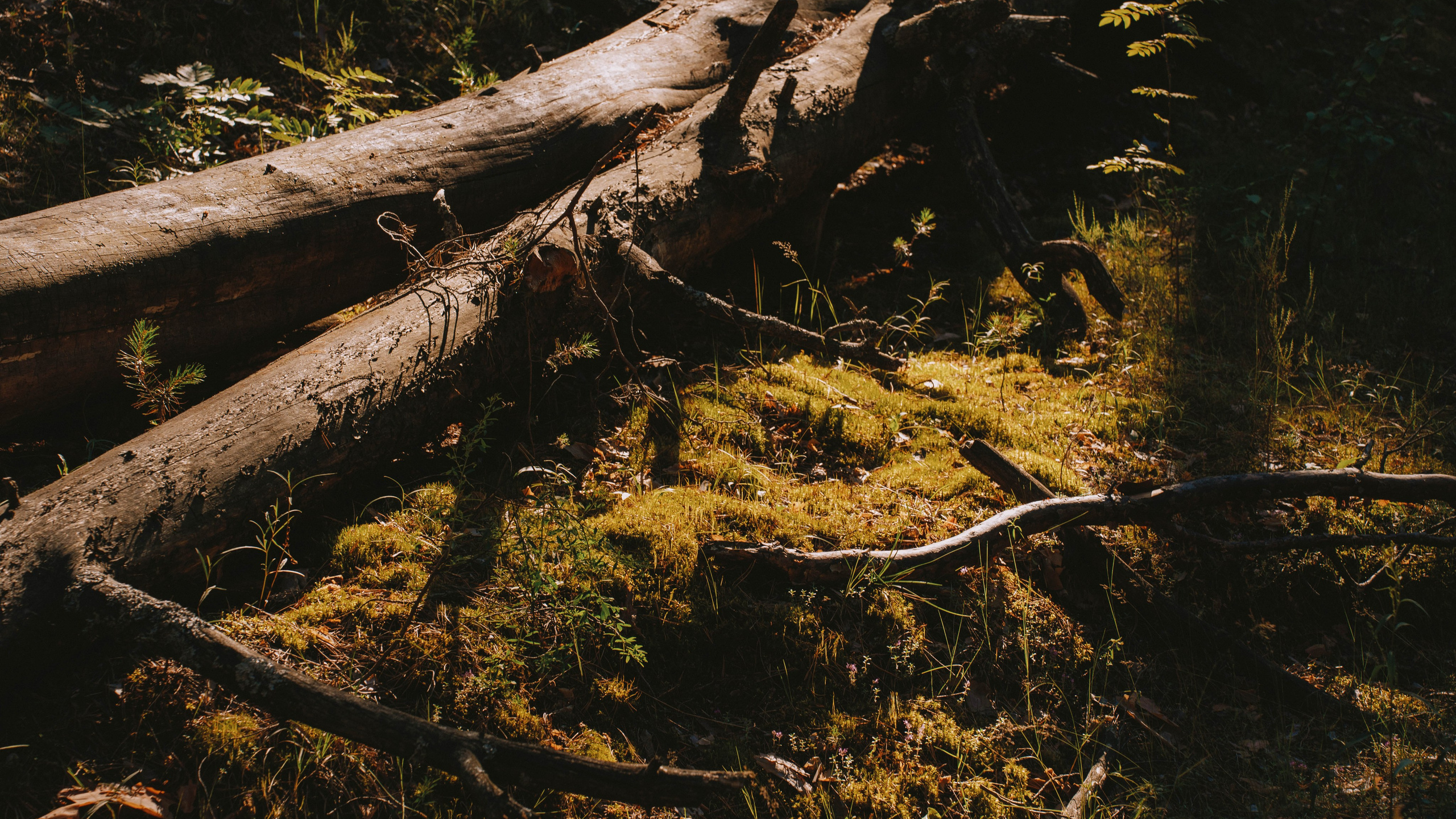 Нижний Новгород. Фотограф из Москвы — DASHA NOVA | Авторская фотография в разных жанрах