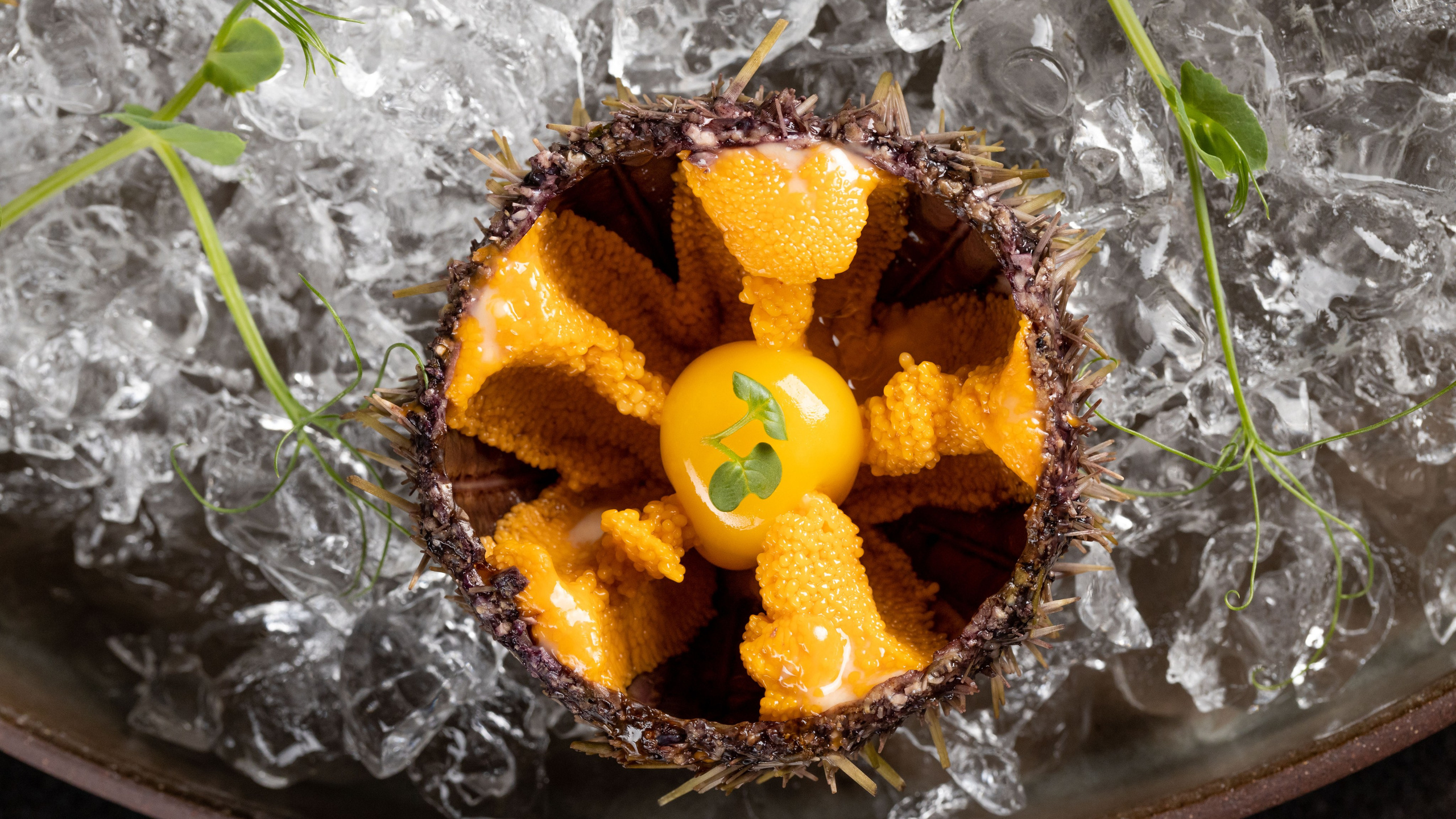 Павел Рыжков — Фотограф. GoodLine Agency