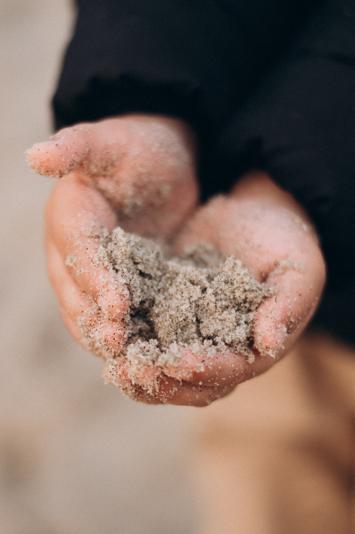 Путешествие в Калининград. Часть 2