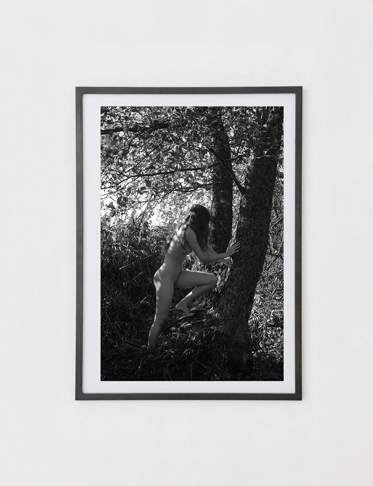 Постеры. Orliphoto_