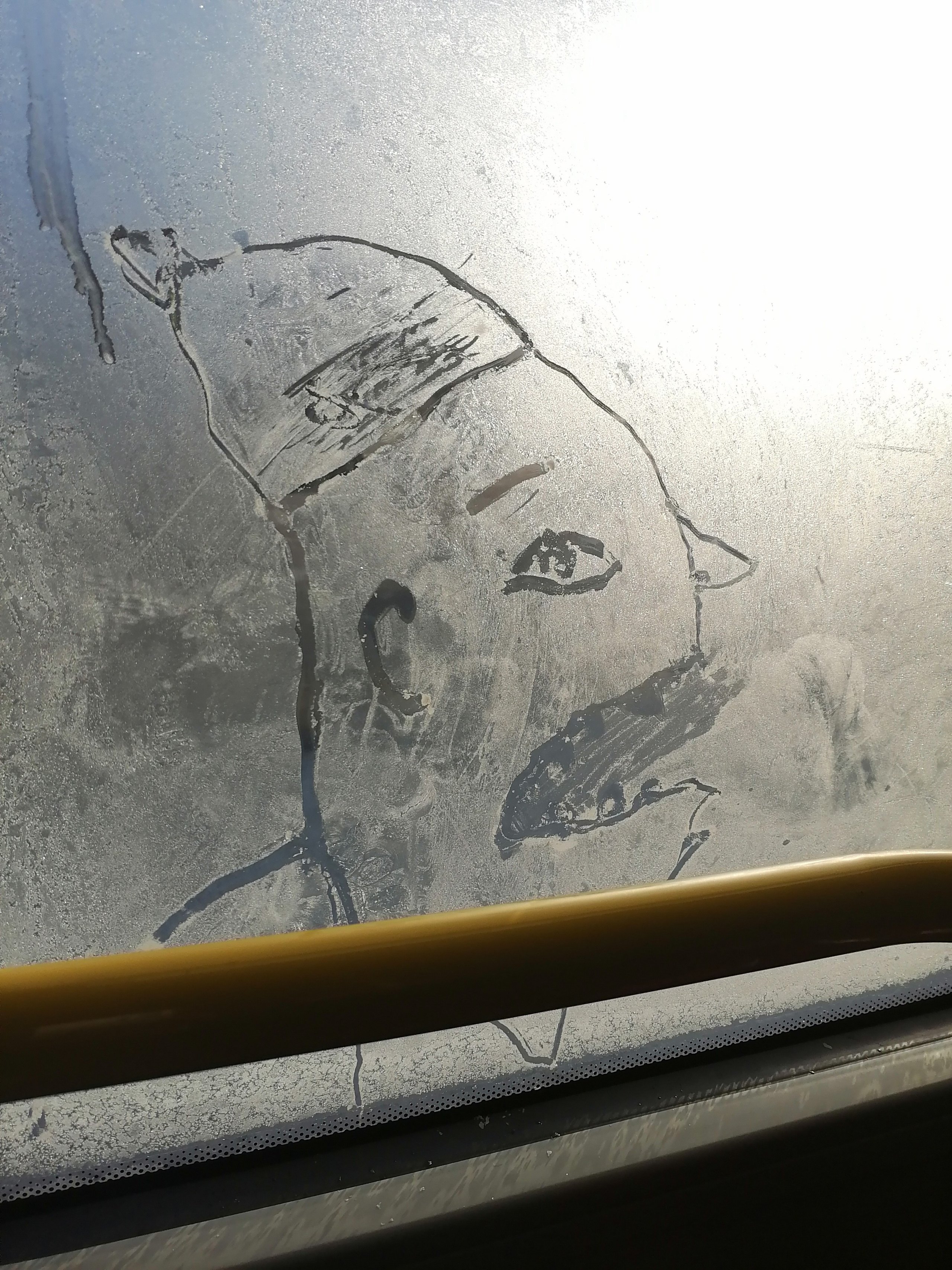 Рисункинаокнахавтобуса. Художник Рыбак Николай