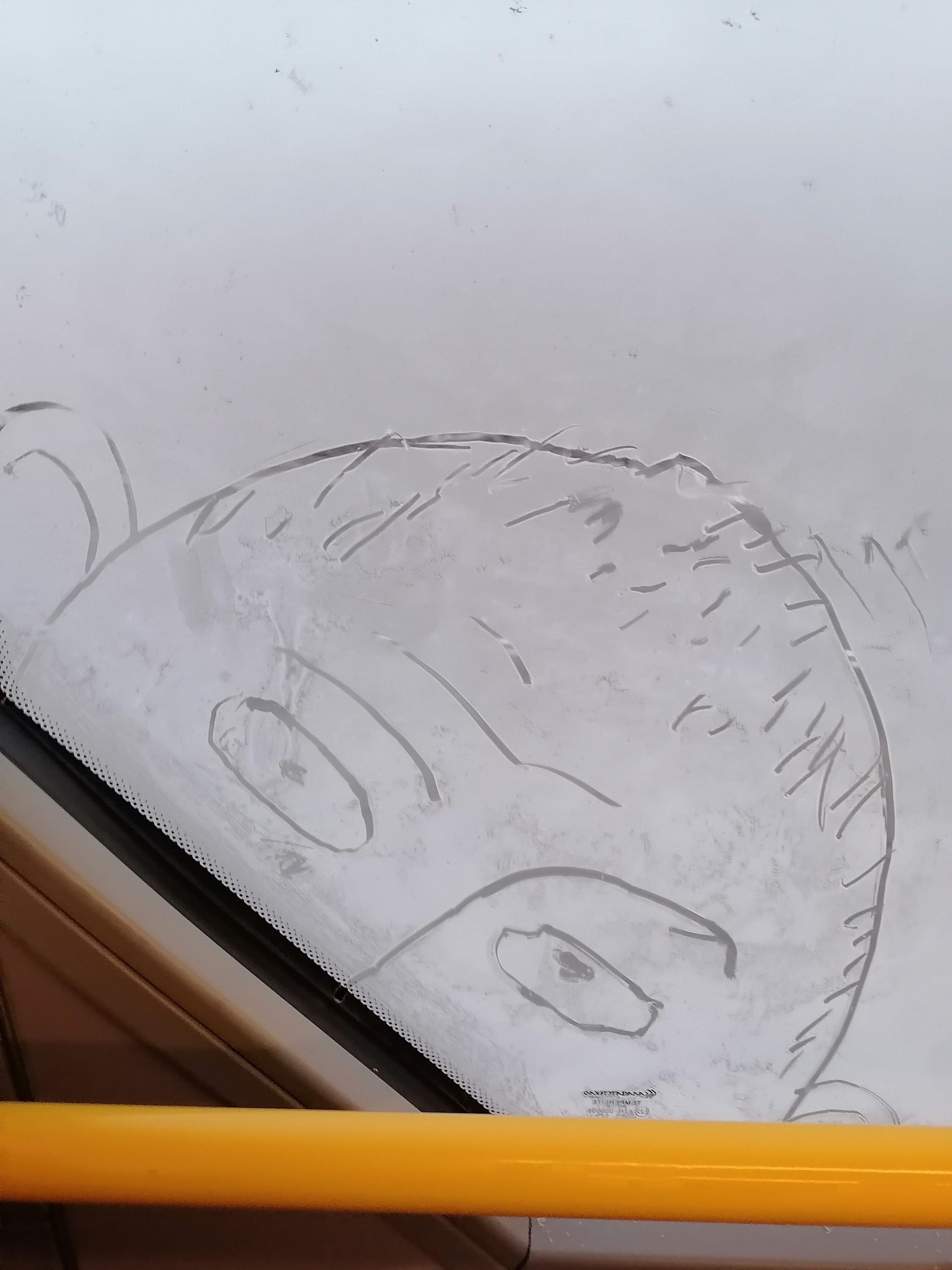 Рисункинаокнахавтобуса. Художник Рыбак Николай