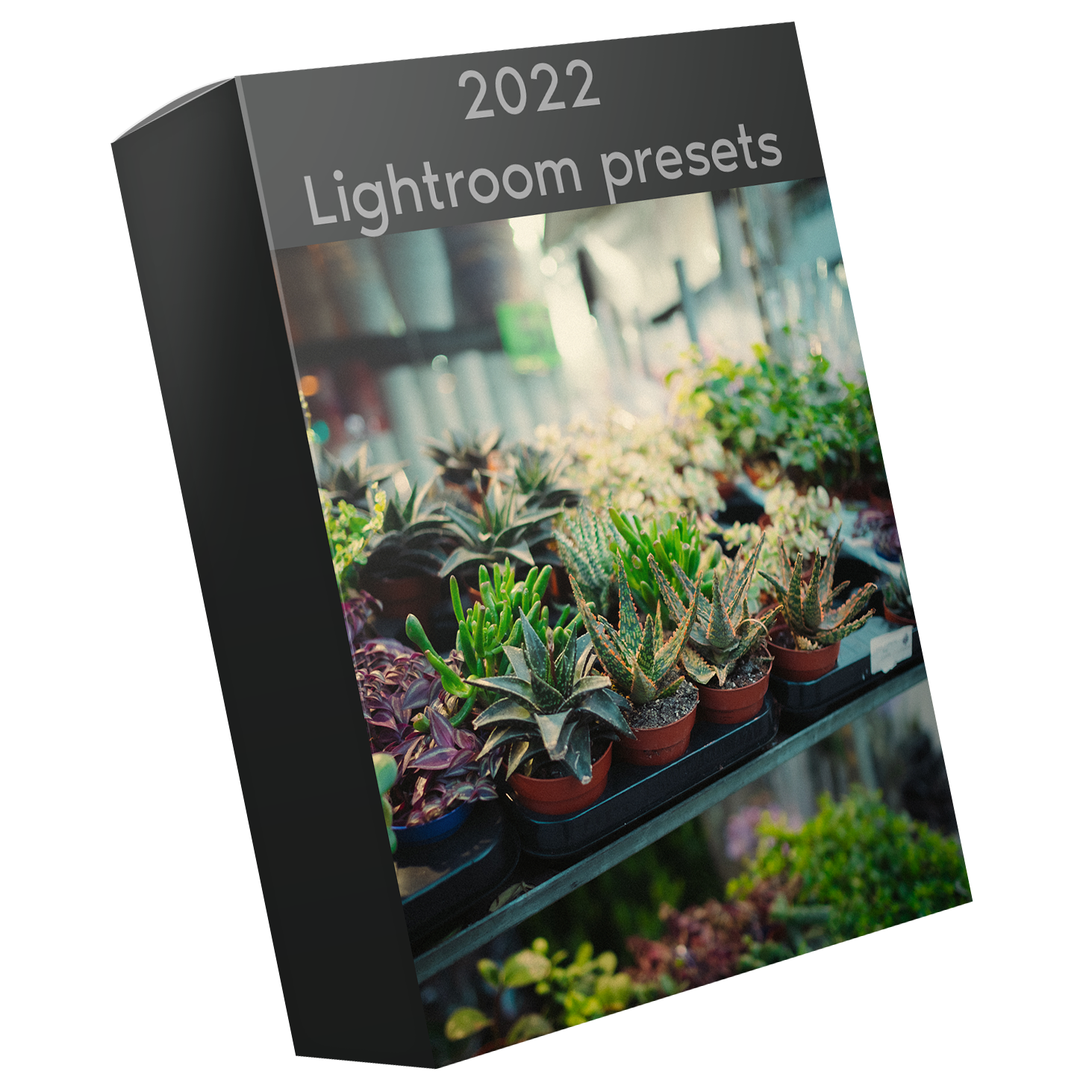 Пресеты. Богдан Голубков — фотограф (notbogdang)