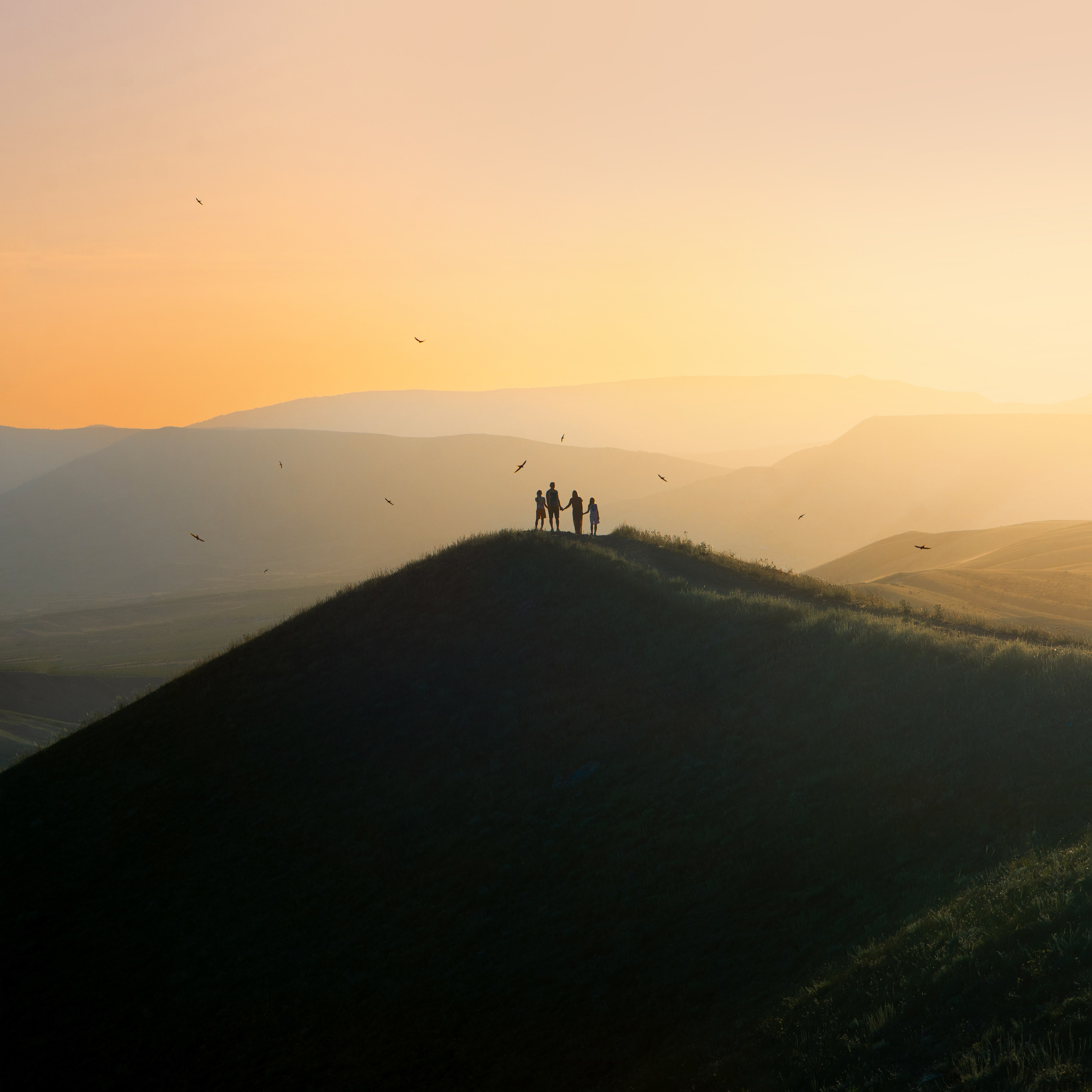 Услуги. Свадебный фотограф в Крыму