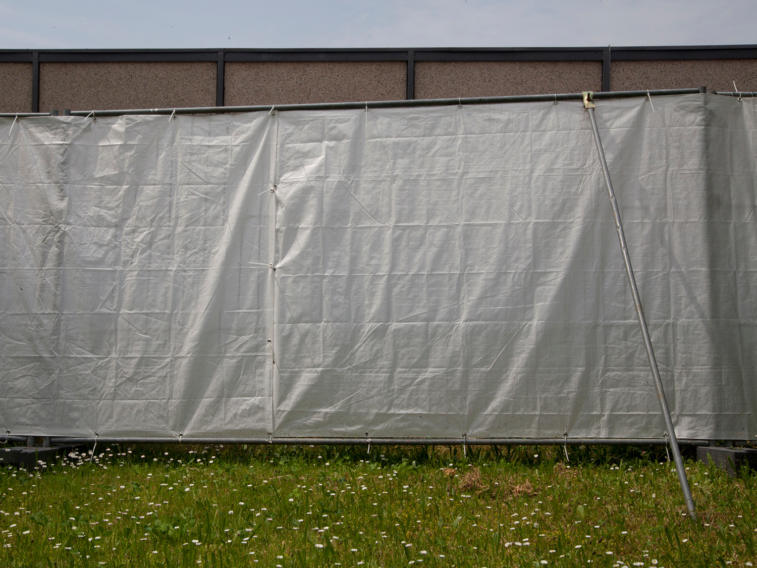 Интервью с Сергеем Потеряевым: ''Организовать свою выставку можно всег