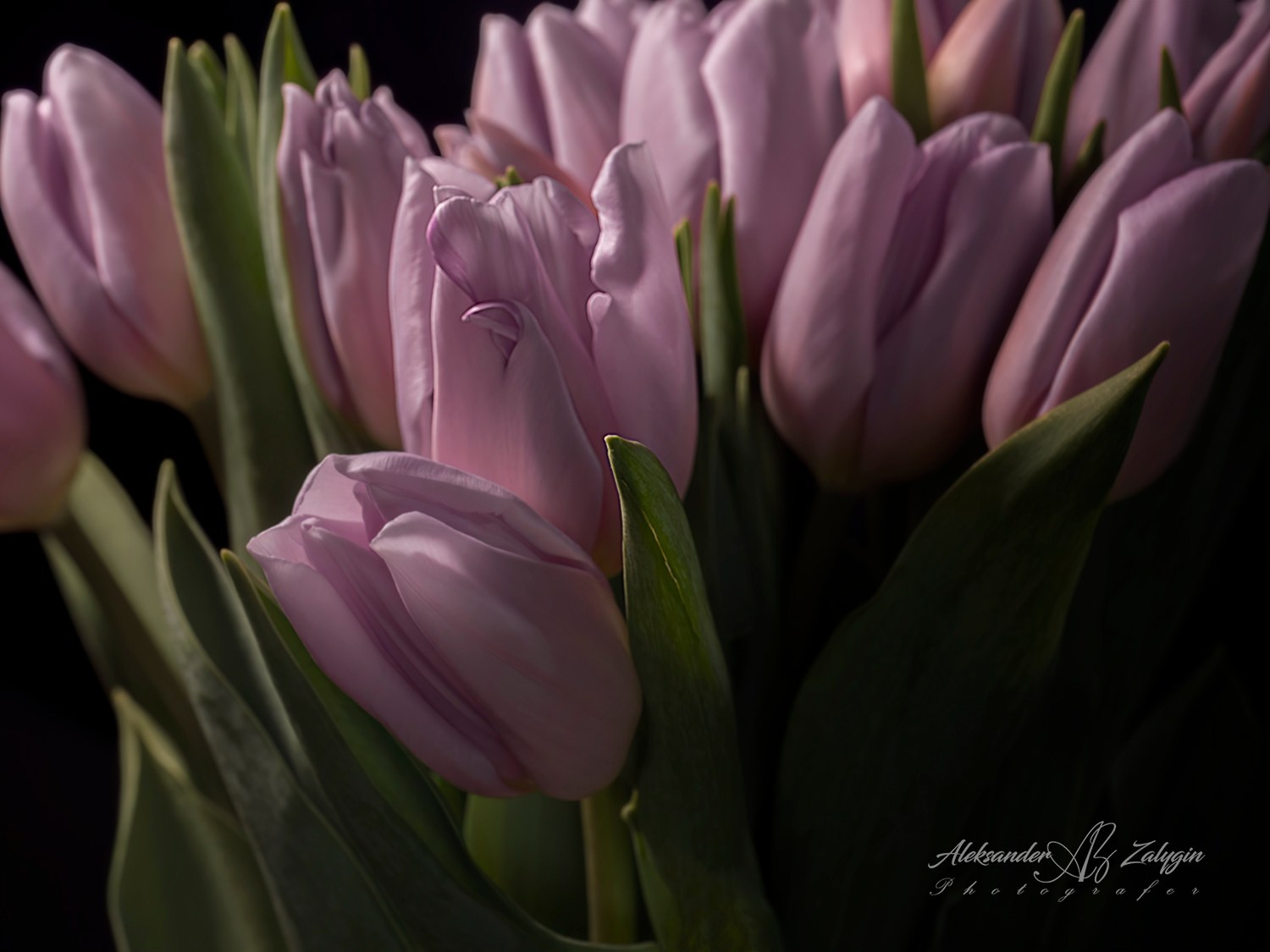 Контакты. Семейные фотографы в Екатеринбурге Анна и Александр A&A Best Foto