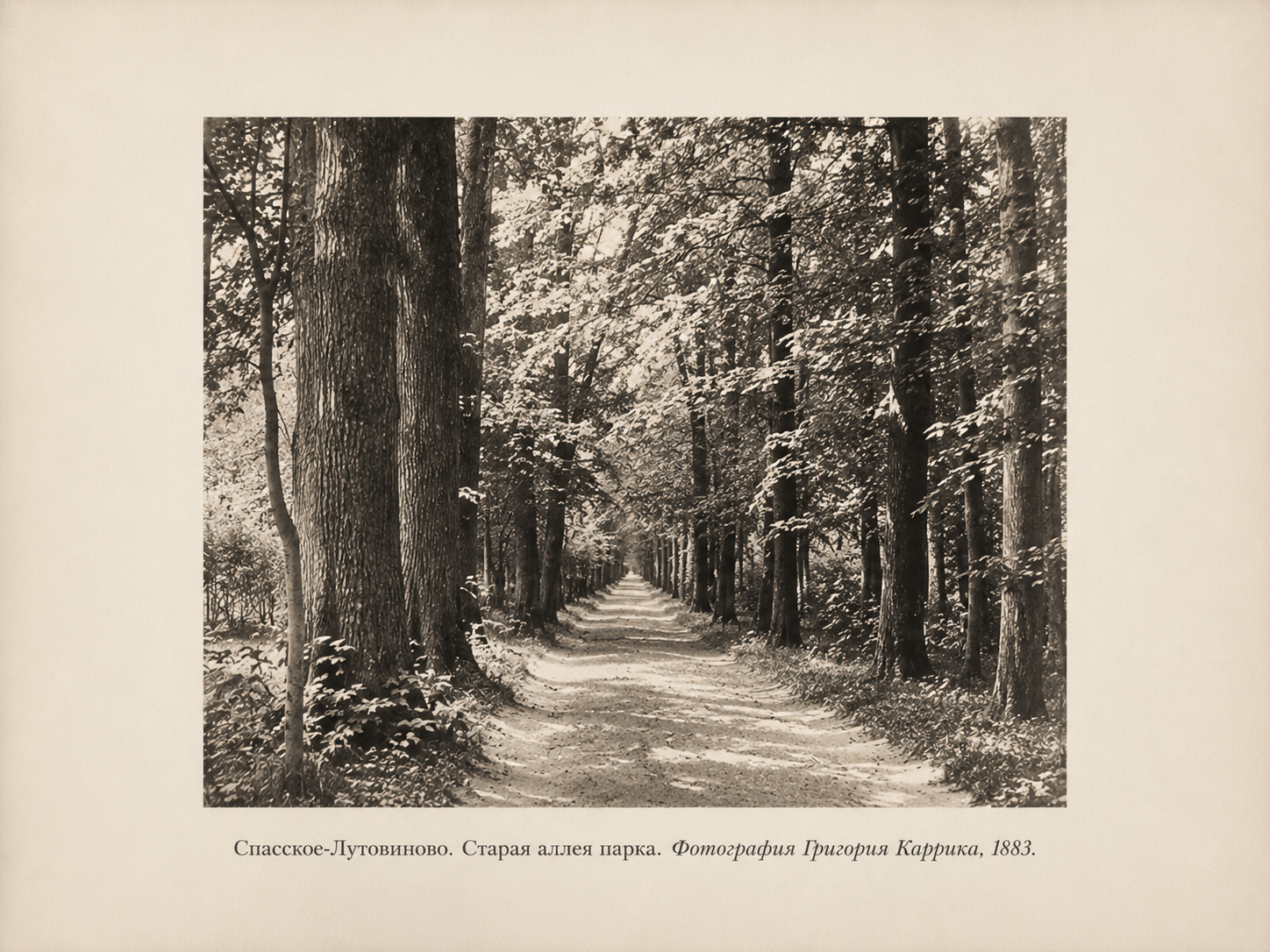 ТУРГЕНЕВ. И ЕГО ДУБ. Фотограф Александра Дмитриевская