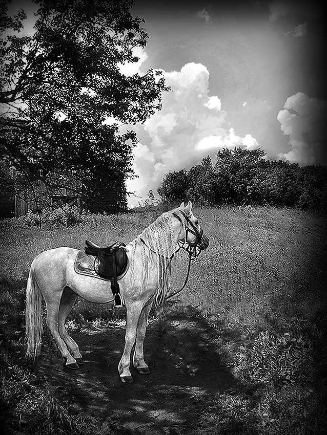 Пейзажи. Granum-memorial