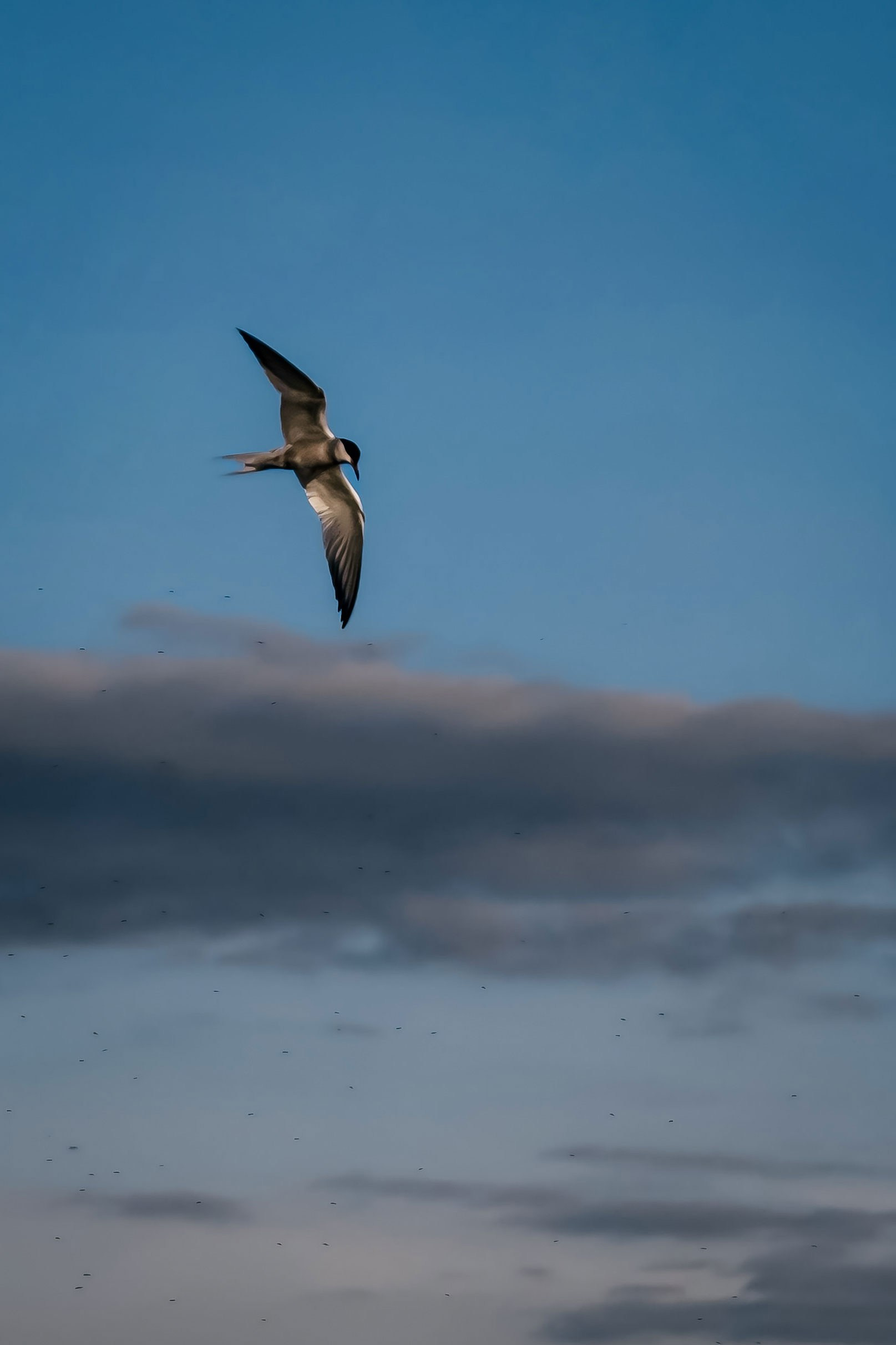 Работы учеников. ФОТОШКОЛА VISION — курс по мобильной фотографии в Москве, курс по фотографии Владимира Васильева