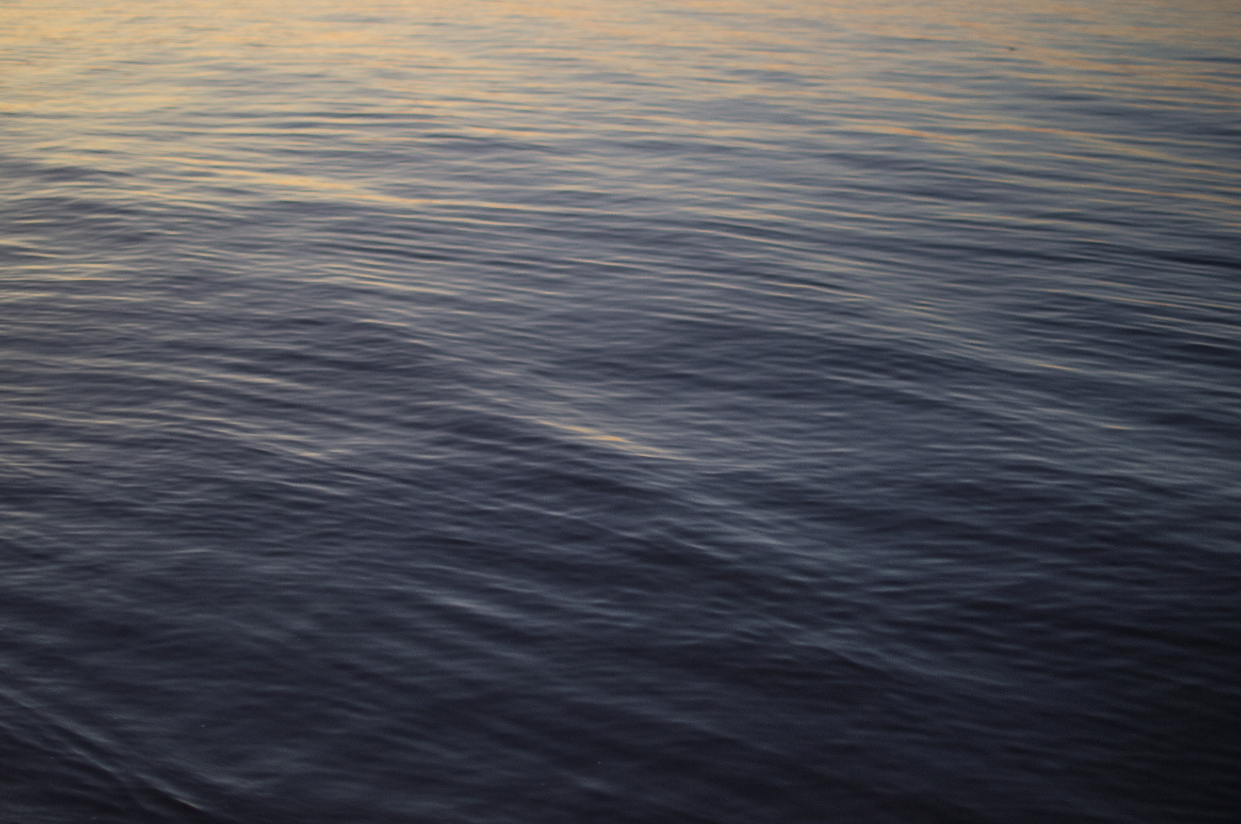 Контакты. DARYA_GROM