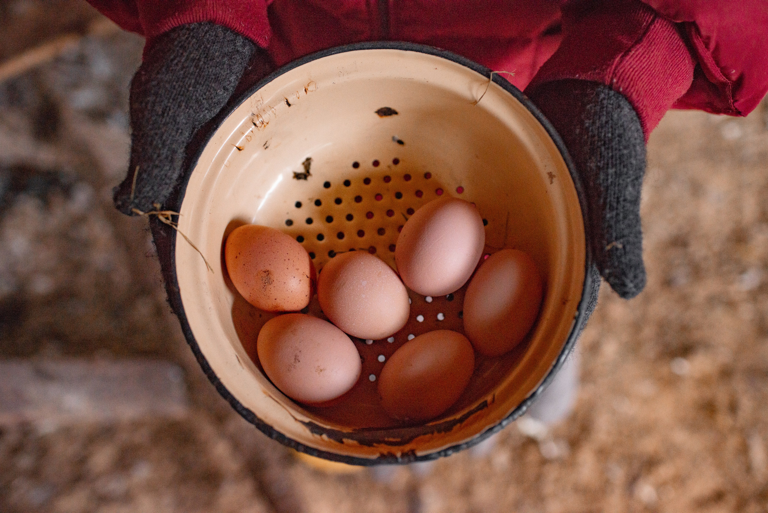Катерина Архипова. Семейный фотограф Псков. Спб.|Анастасия Войналович