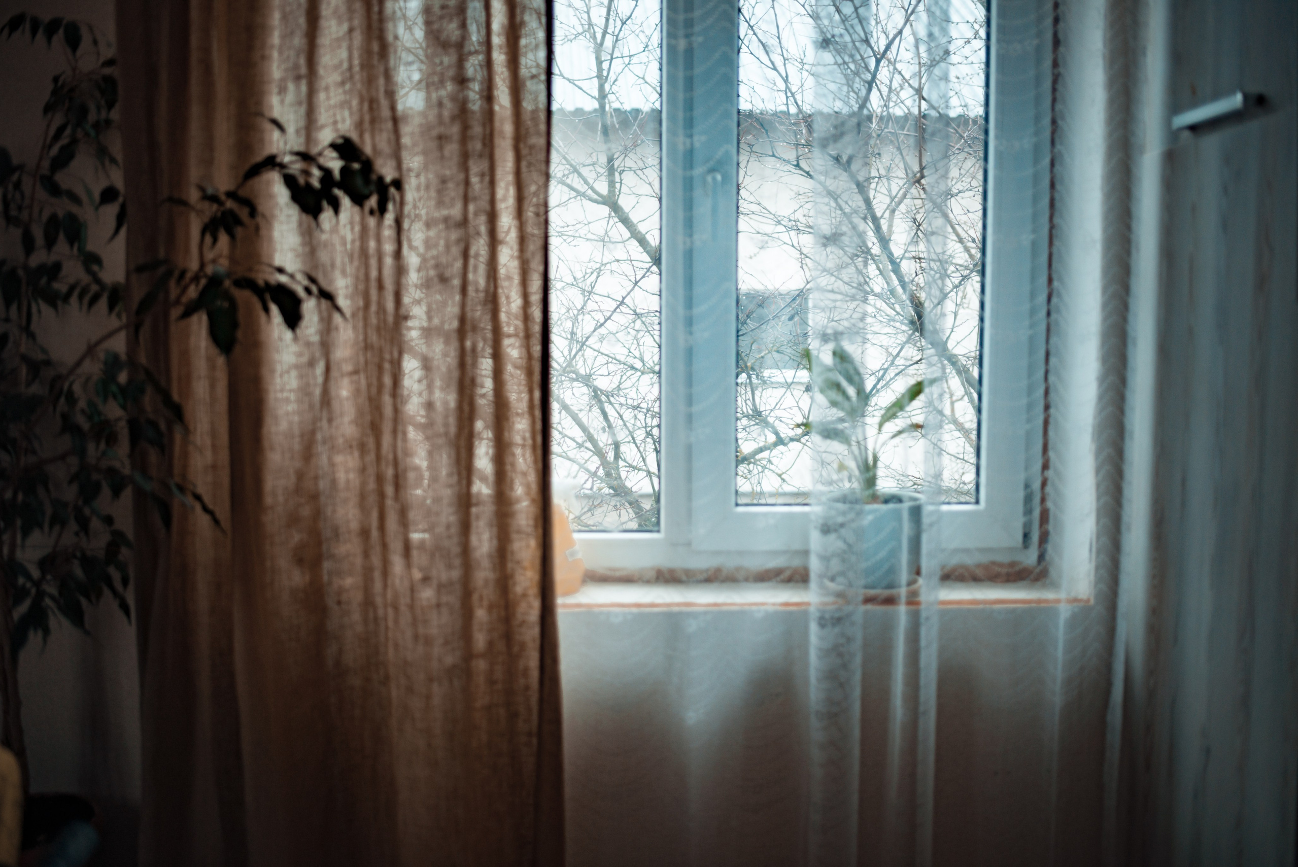 Мария Старосельская. Семейный фотограф Псков. Спб.|Анастасия Войналович