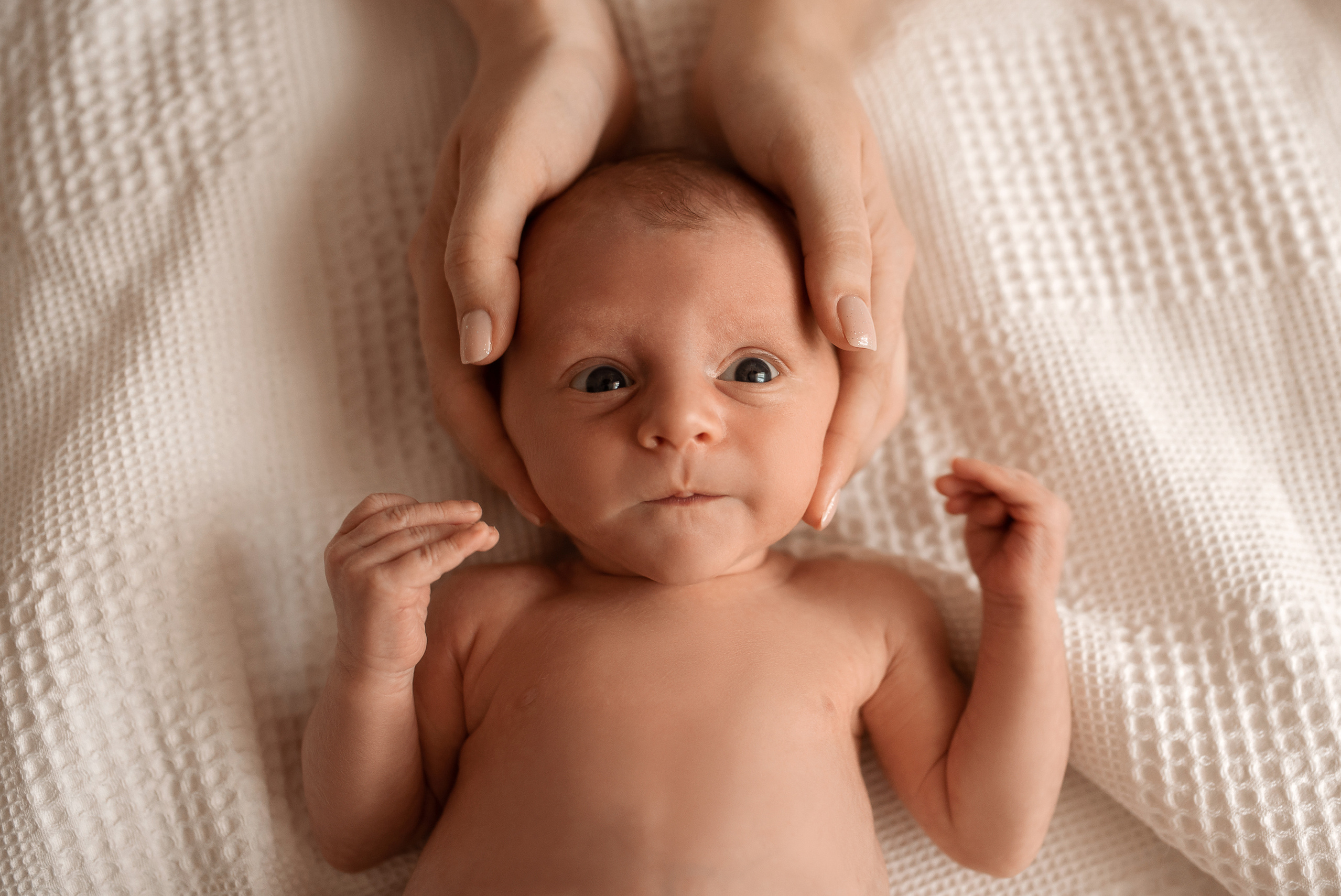 Прайс-лист. Фотограф новорожденных и детей до года в Челябинске Иванова Елена