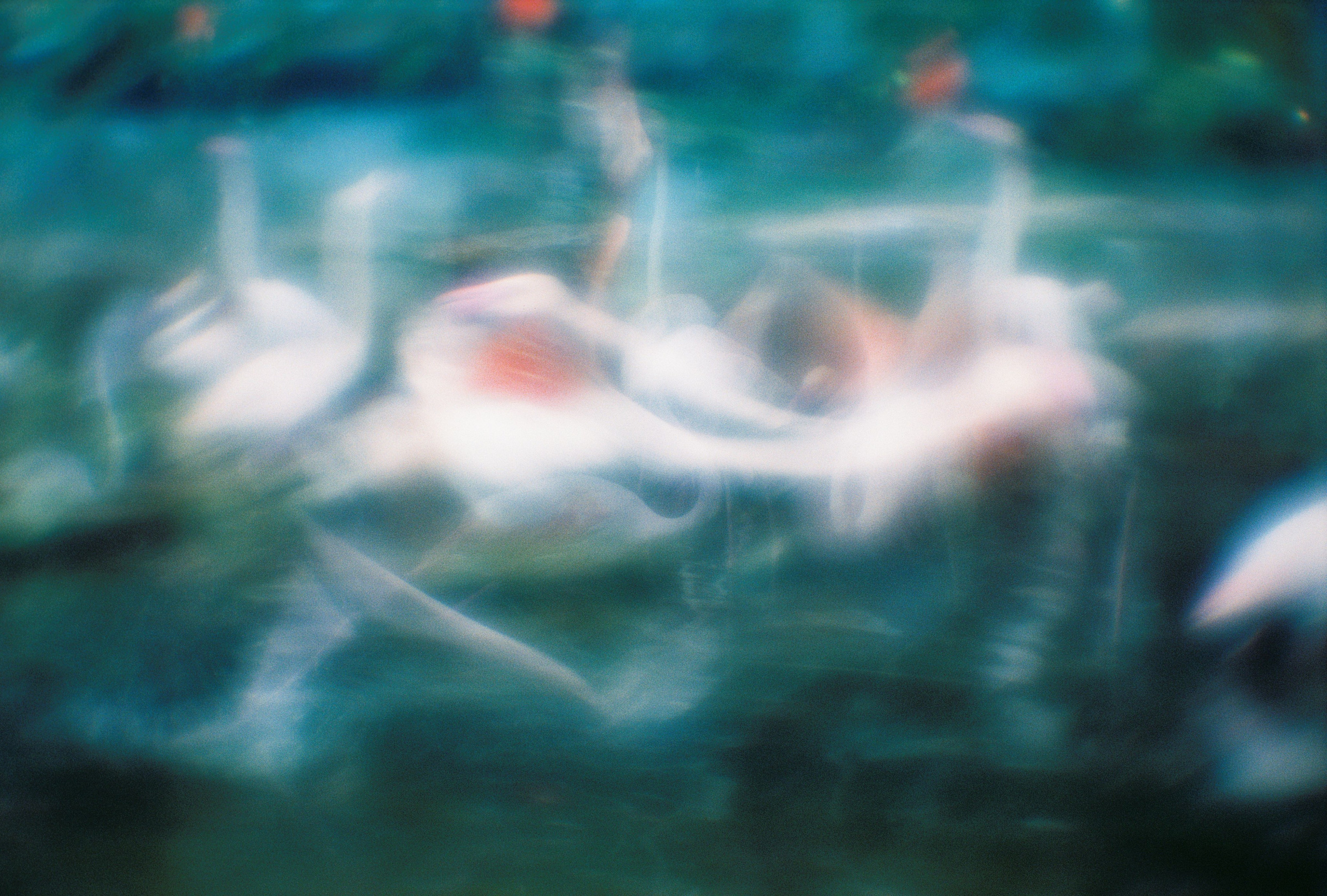 Григорьева Ирина. ARTEXPOPHOTO