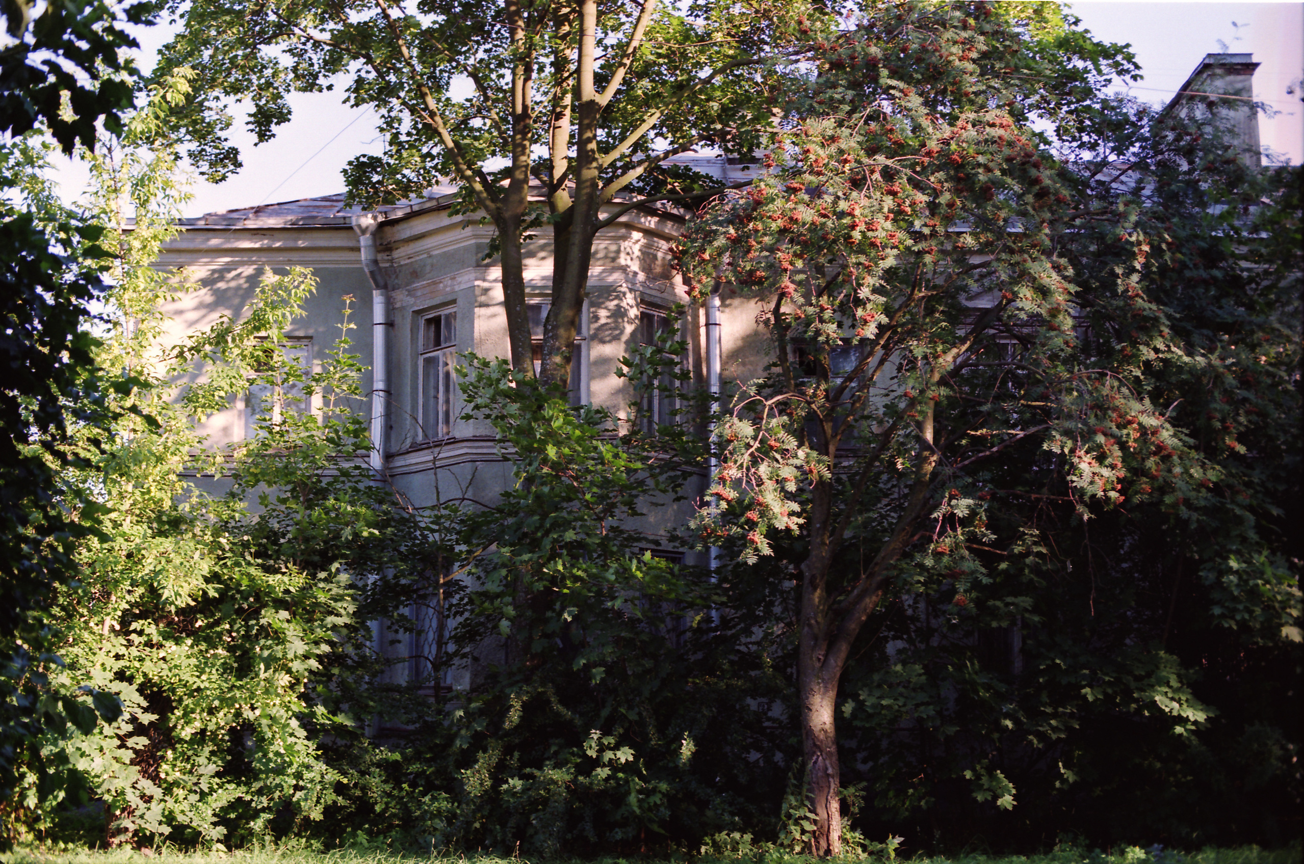 Лаборатория Нарвская застава