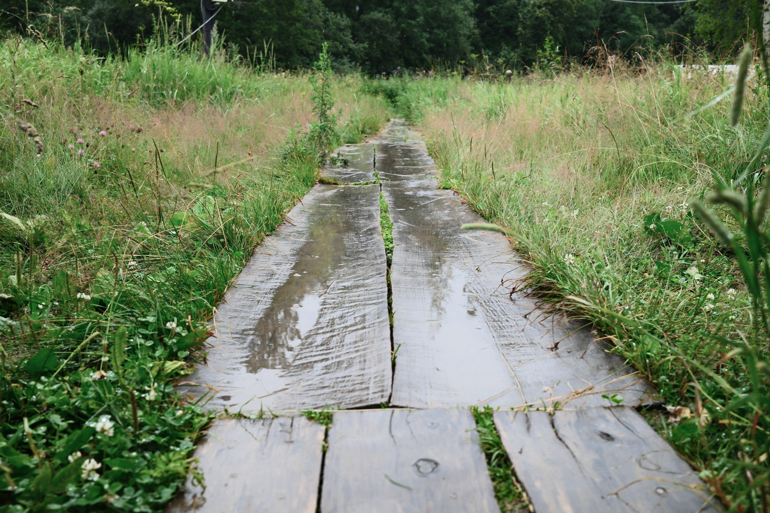 Тяга к прекрасному. Belugin Art