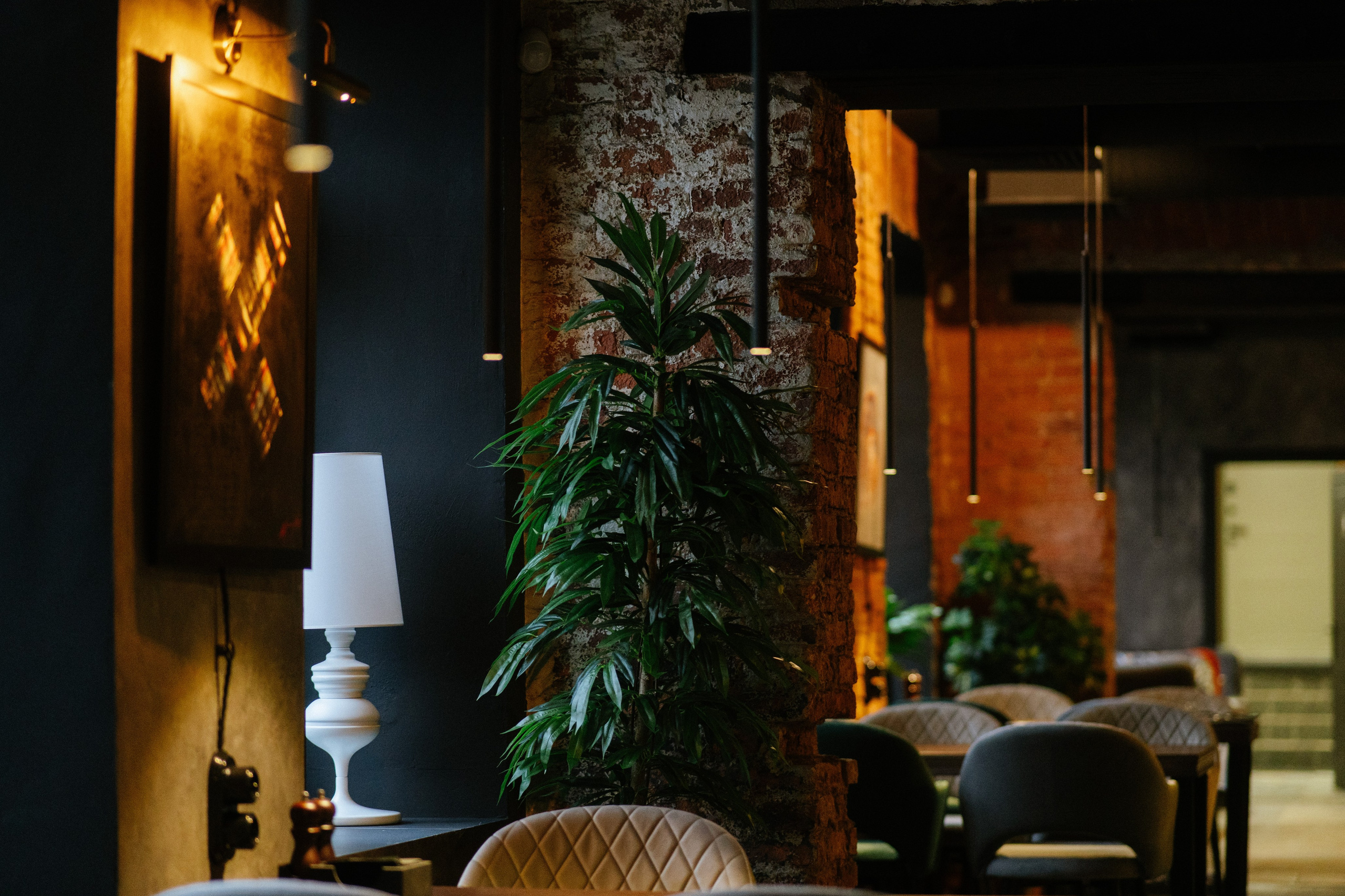 Для бизнеса. Репортажный фотограф в Санкт-Петербурге