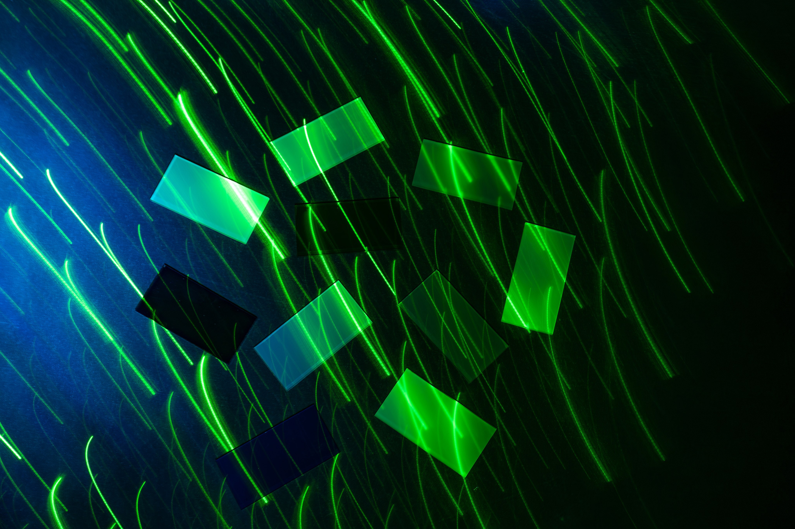 Золотых Екатерина. ARTEXPOPHOTO