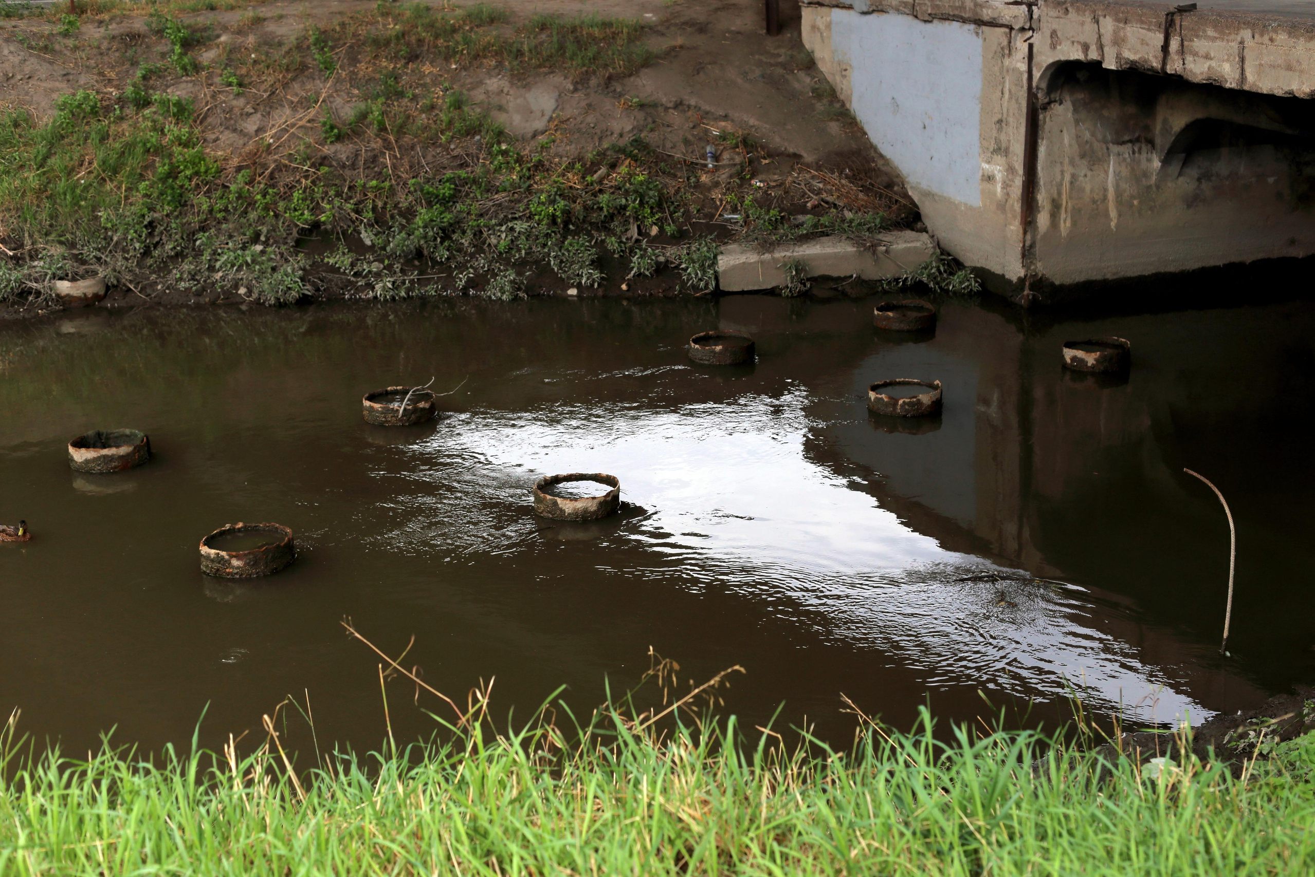 Красненькая биеннале 2021 (СПБ)