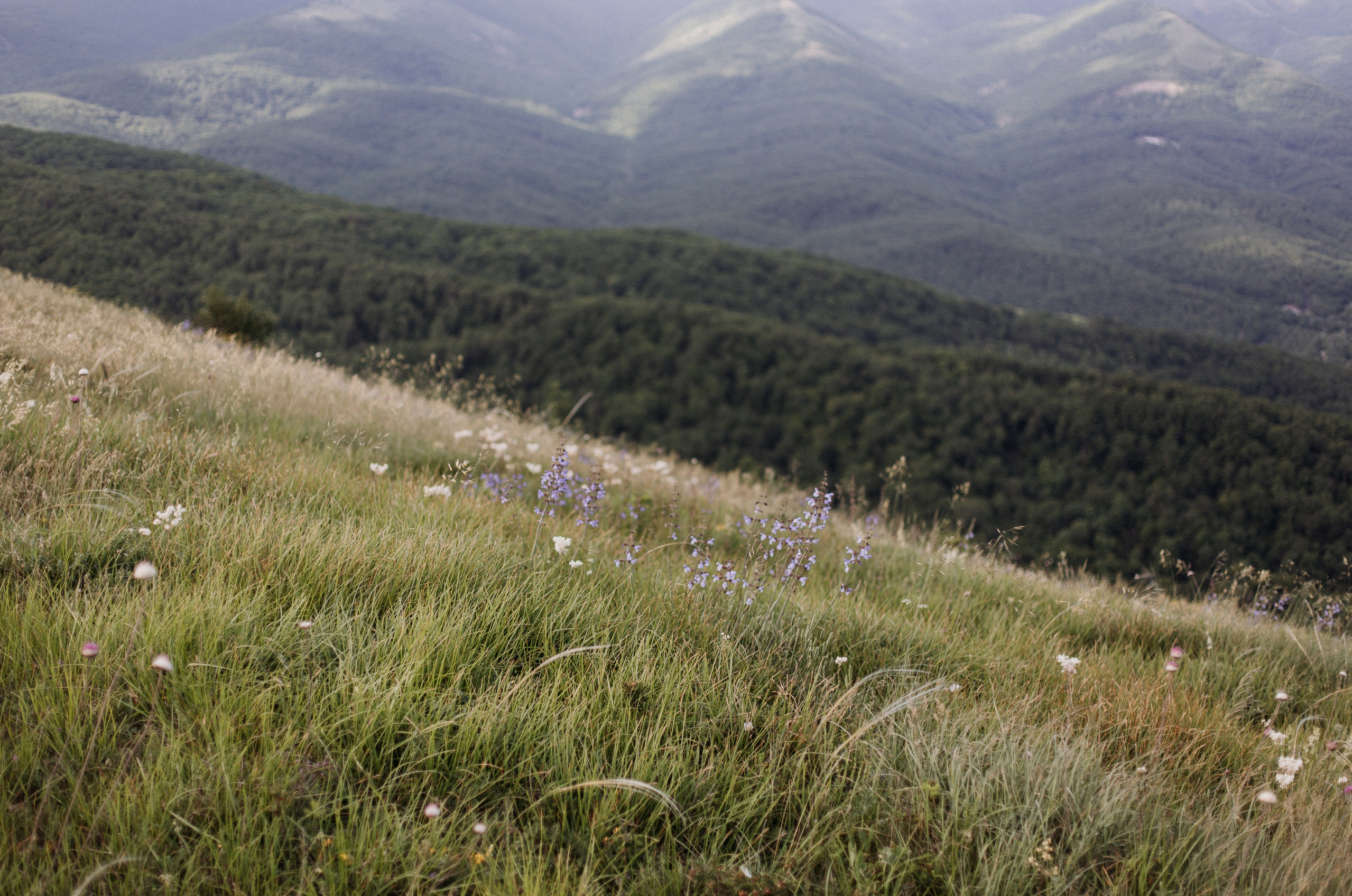 Контакты. Мастерская шаманских бубнов и погремушек «Дороги ветра»