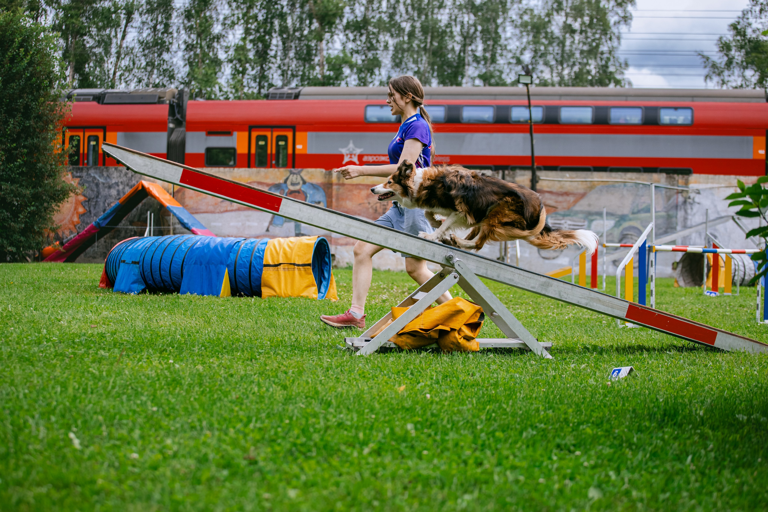 Услуги. Фотограф-анималист Татьяна Степанова