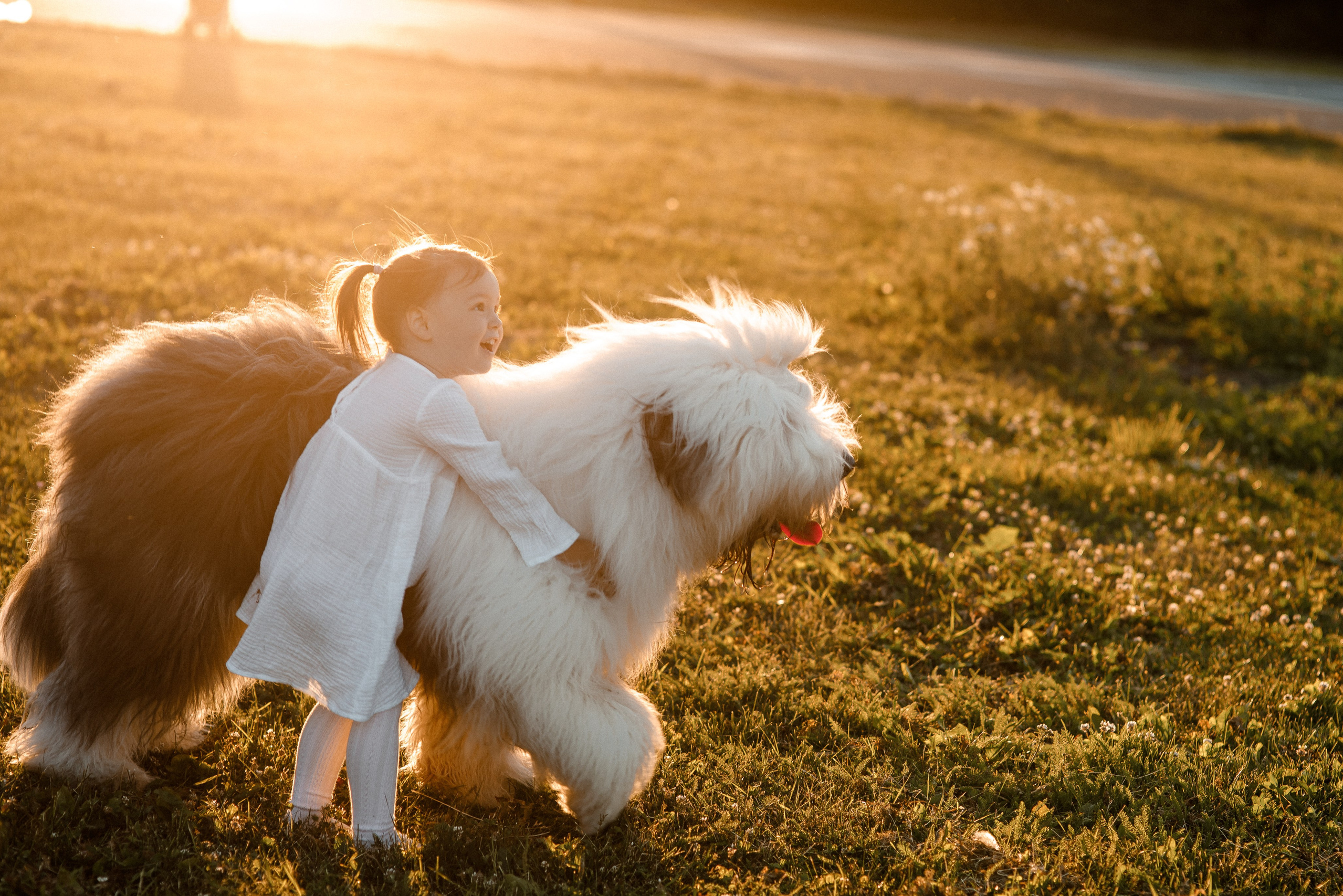 Обучение фотографии с нуля