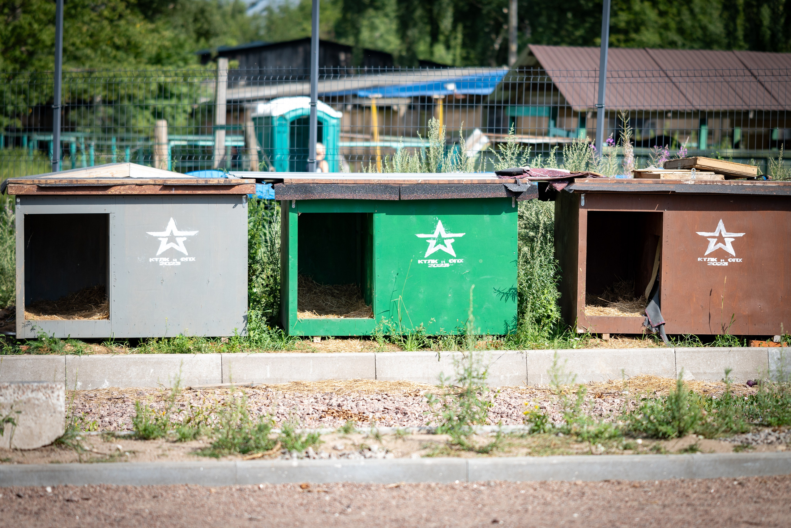 Симаргл и Идель. Фотограф анималист в Санкт-Петербурге Таша Крейв
