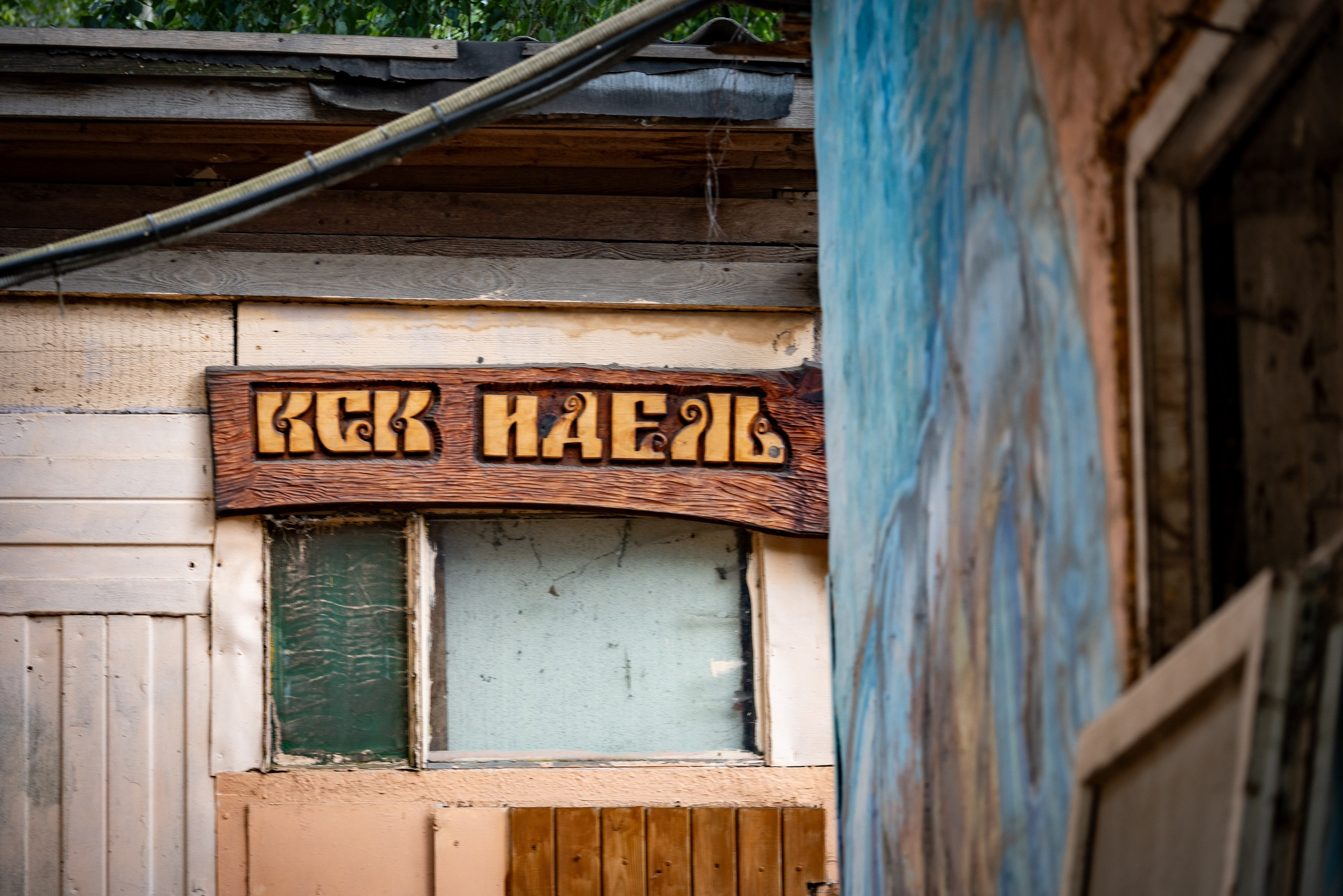 Симаргл и Идель. Фотограф анималист в Санкт-Петербурге Таша Крейв