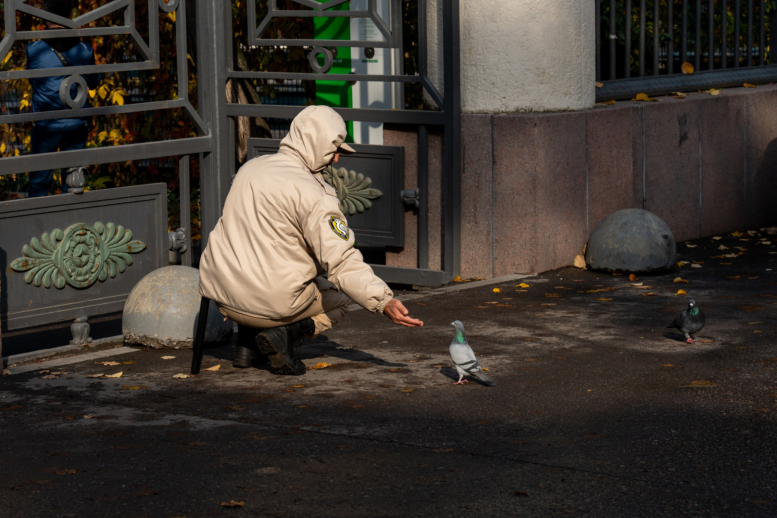 Список альбомов. Дмитрий Ремизов. Фотография, как хобби