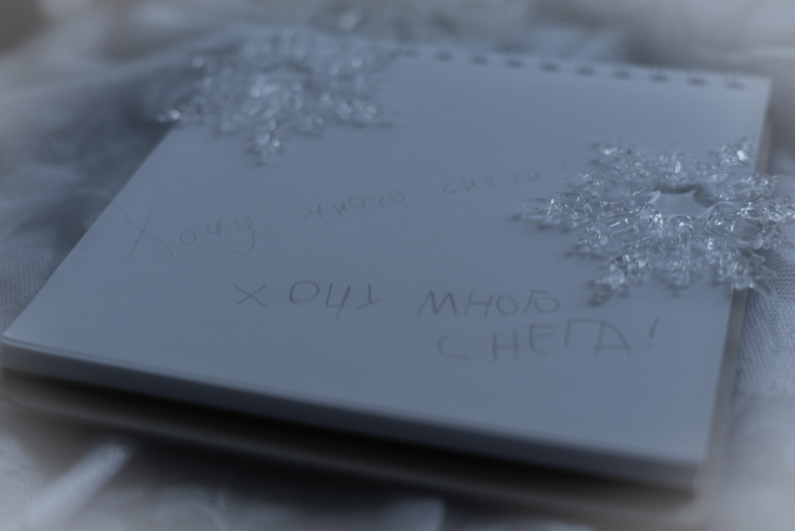 365 Фоточеллендж | 365 Photochallenge. Семейный и детский фотограф Гончарова Елена | Волжский, Волгоград