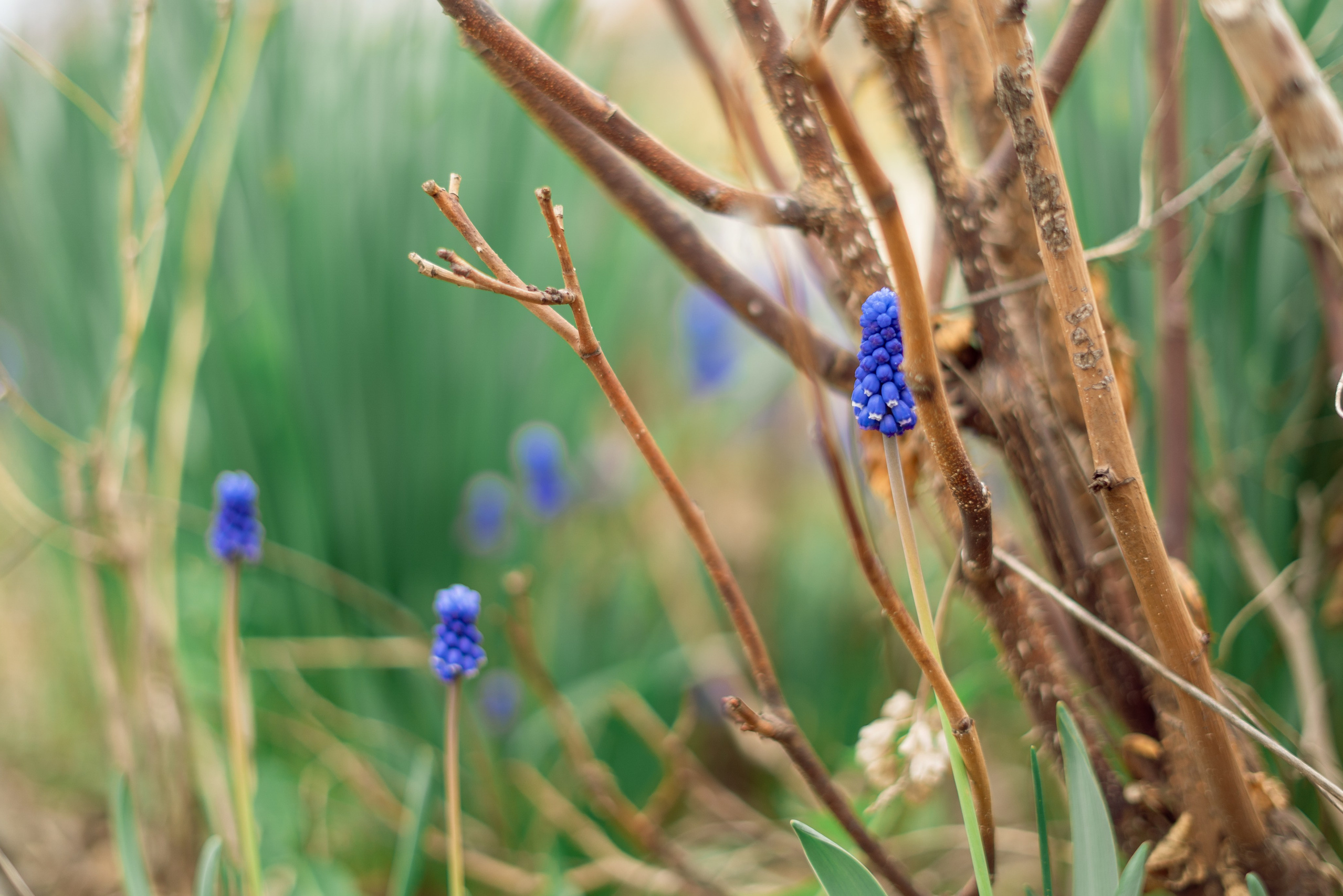 365 Фоточеллендж | 365 Photochallenge. Семейный и детский фотограф Гончарова Елена | Волжский, Волгоград