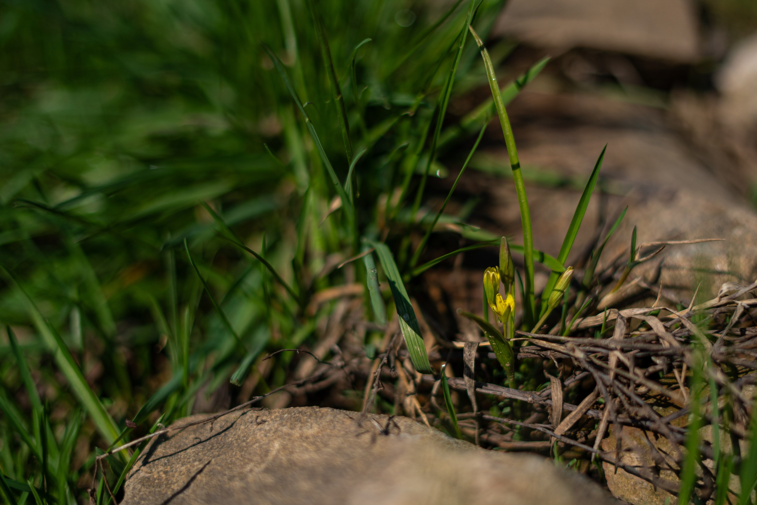 365 Фоточеллендж | 365 Photochallenge. Семейный и детский фотограф Гончарова Елена | Волжский, Волгоград