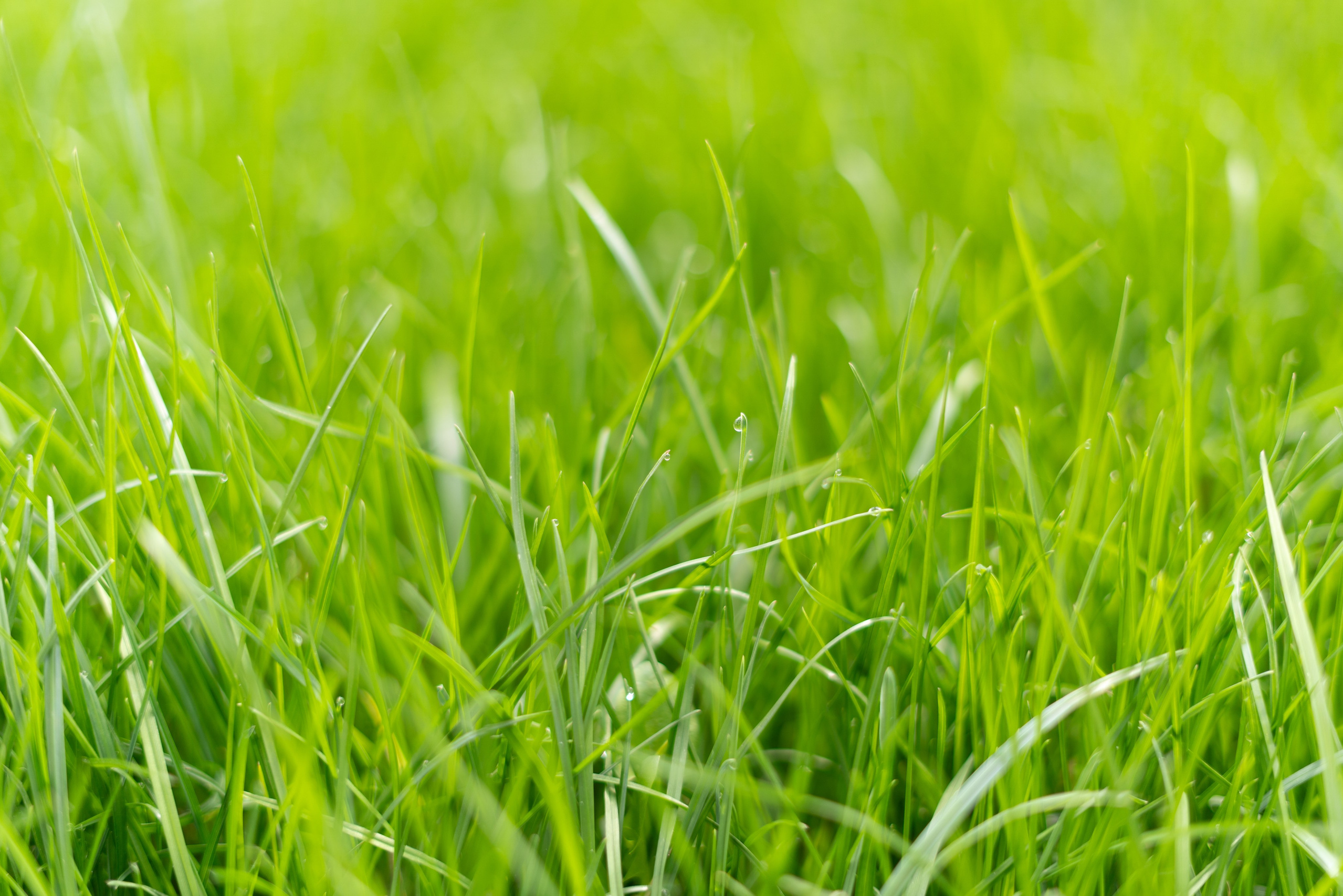 365 Фоточеллендж | 365 Photochallenge. Семейный и детский фотограф Гончарова Елена | Волжский, Волгоград