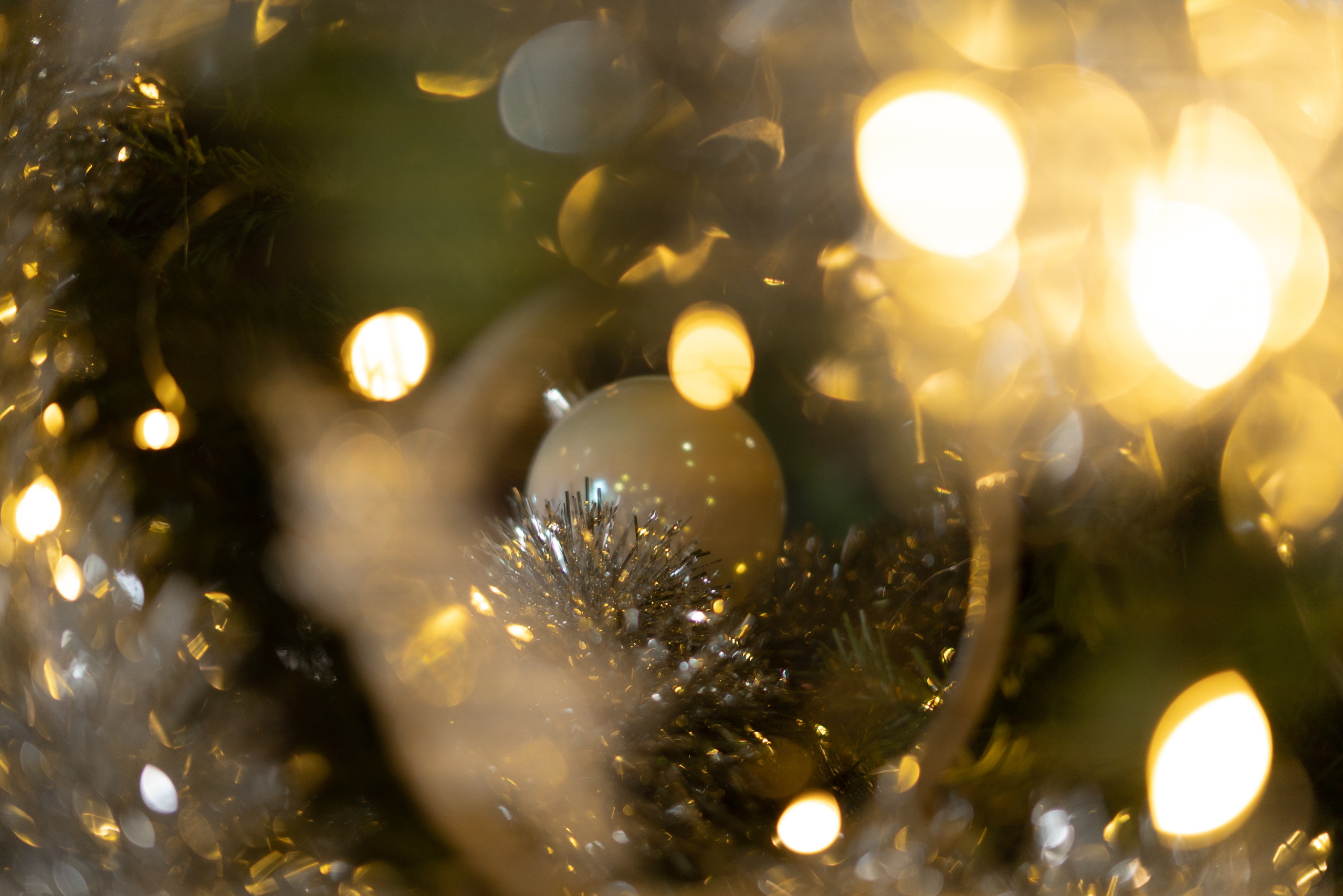 365 Фоточеллендж | 365 Photochallenge. Семейный и детский фотограф Гончарова Елена | Волжский, Волгоград