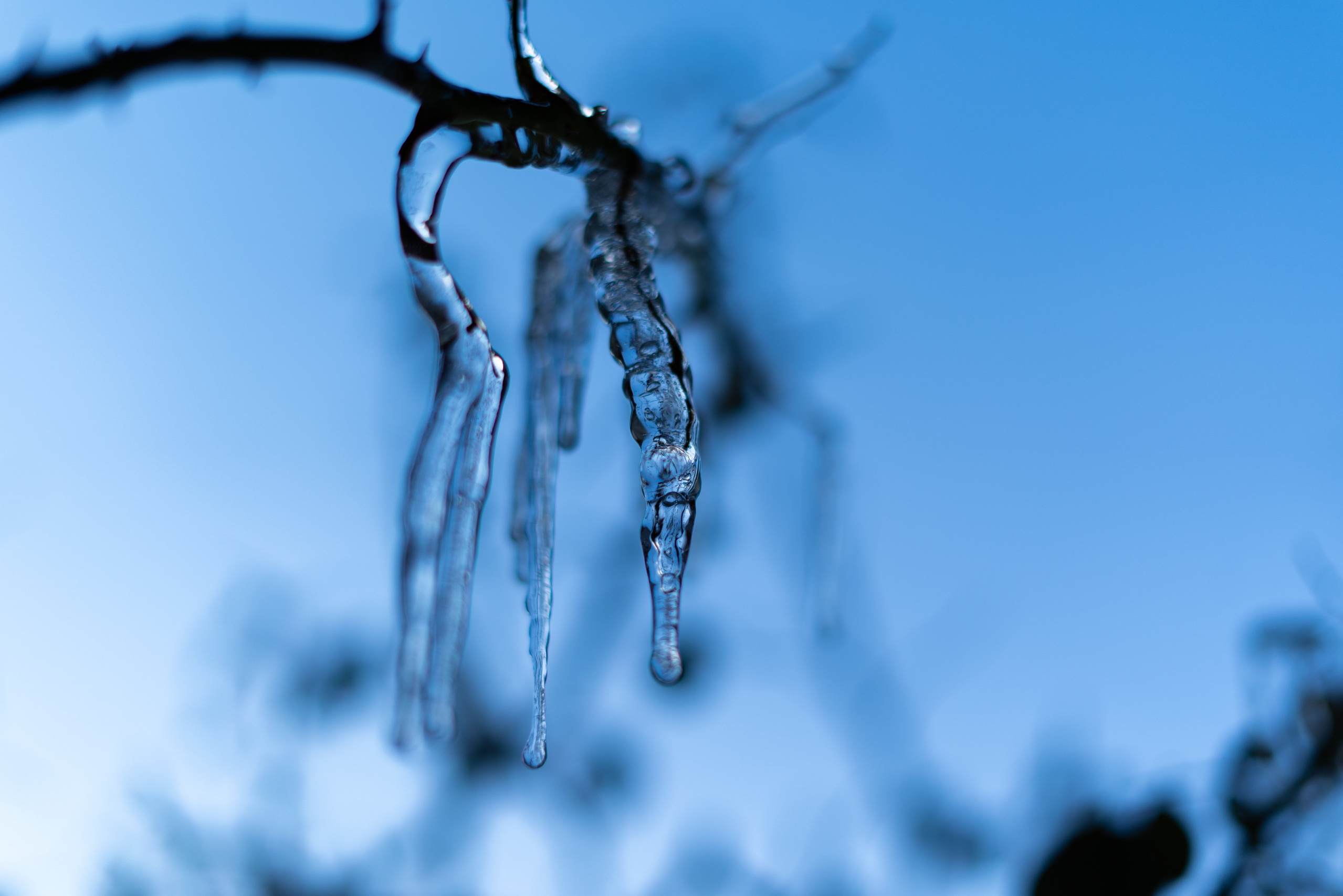 365 Фоточеллендж | 365 Photochallenge. Семейный и детский фотограф Гончарова Елена | Волжский, Волгоград