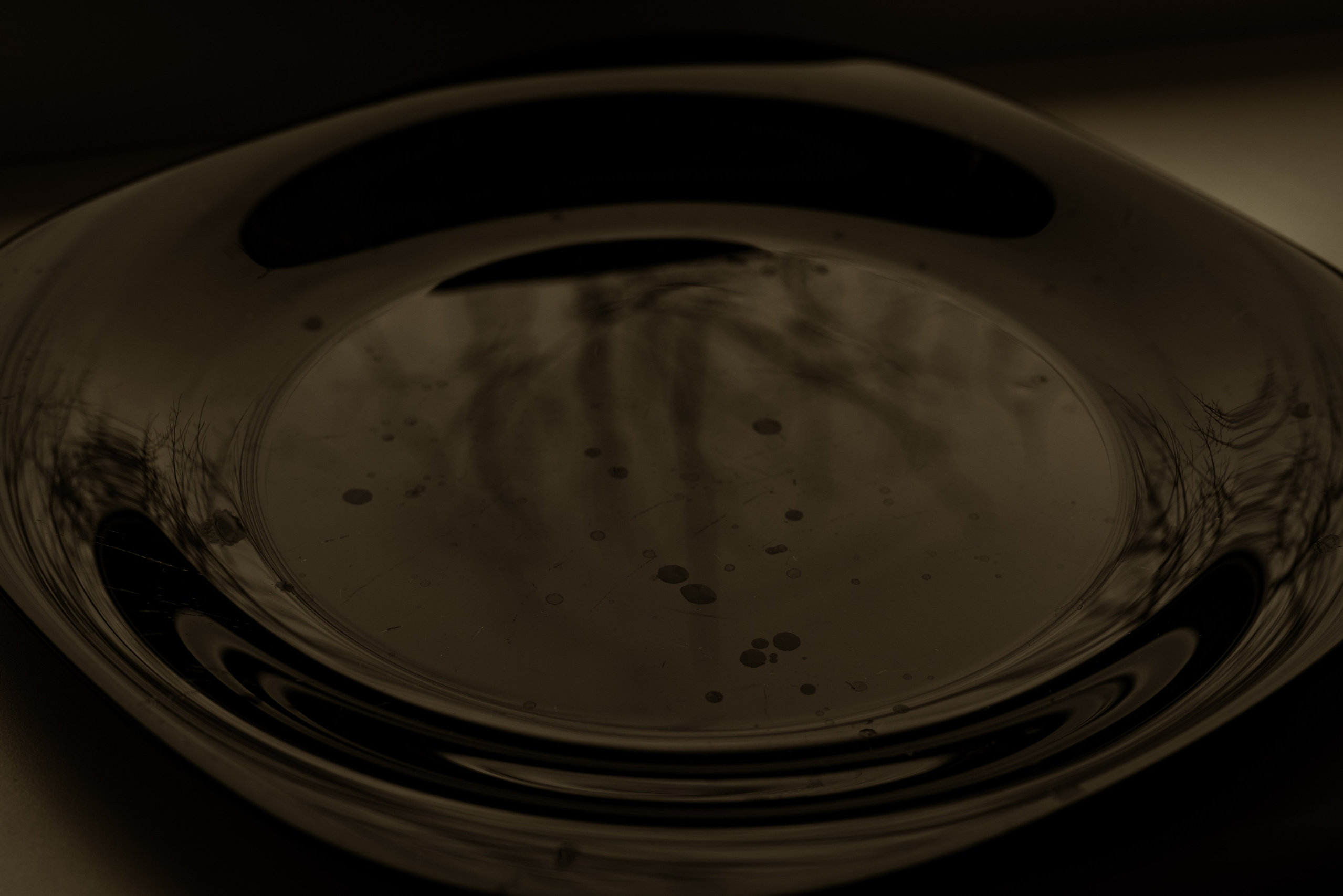 365 Фоточеллендж | 365 Photochallenge. Семейный и детский фотограф Гончарова Елена | Волжский, Волгоград