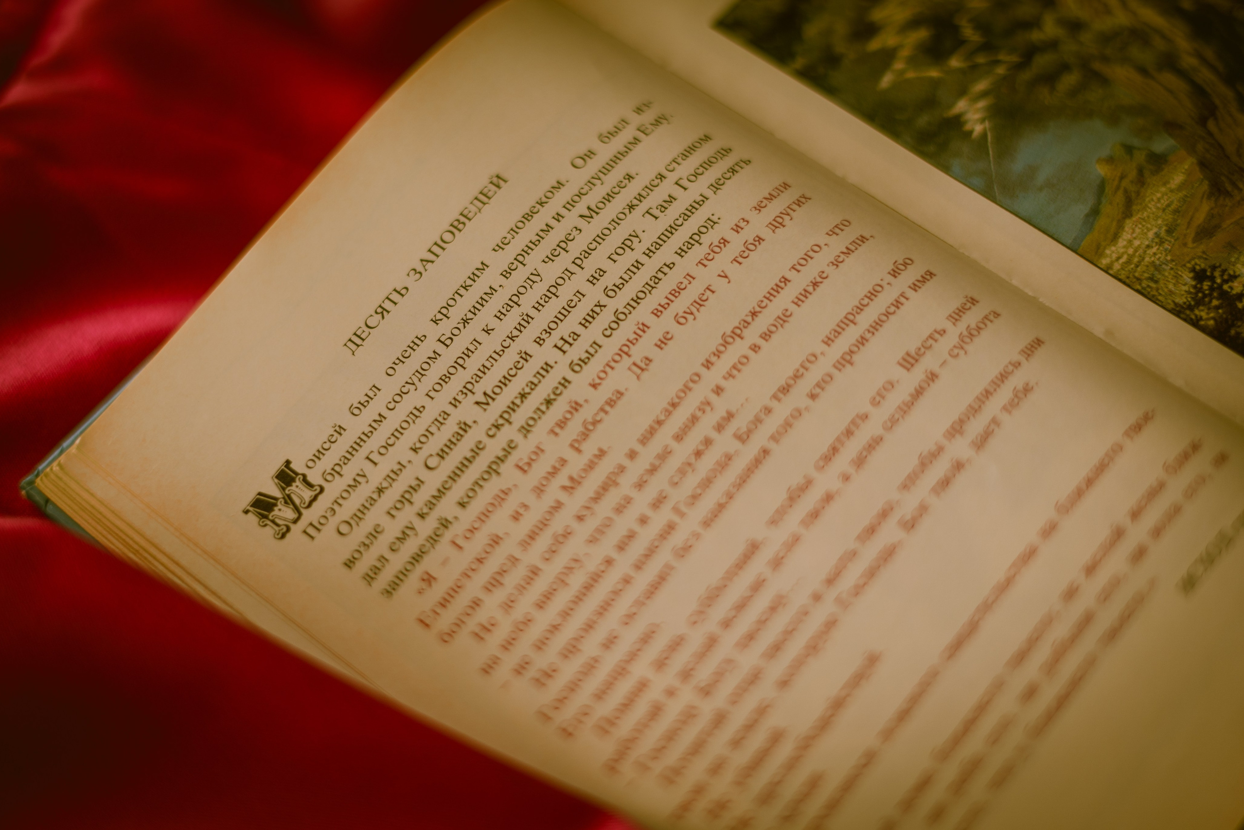 фотография