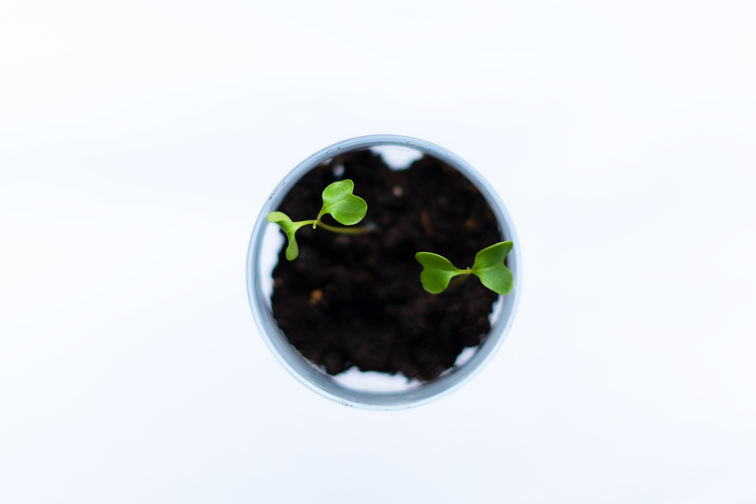 365 Фоточеллендж | 365 Photochallenge. Семейный и детский фотограф Гончарова Елена | Волжский, Волгоград