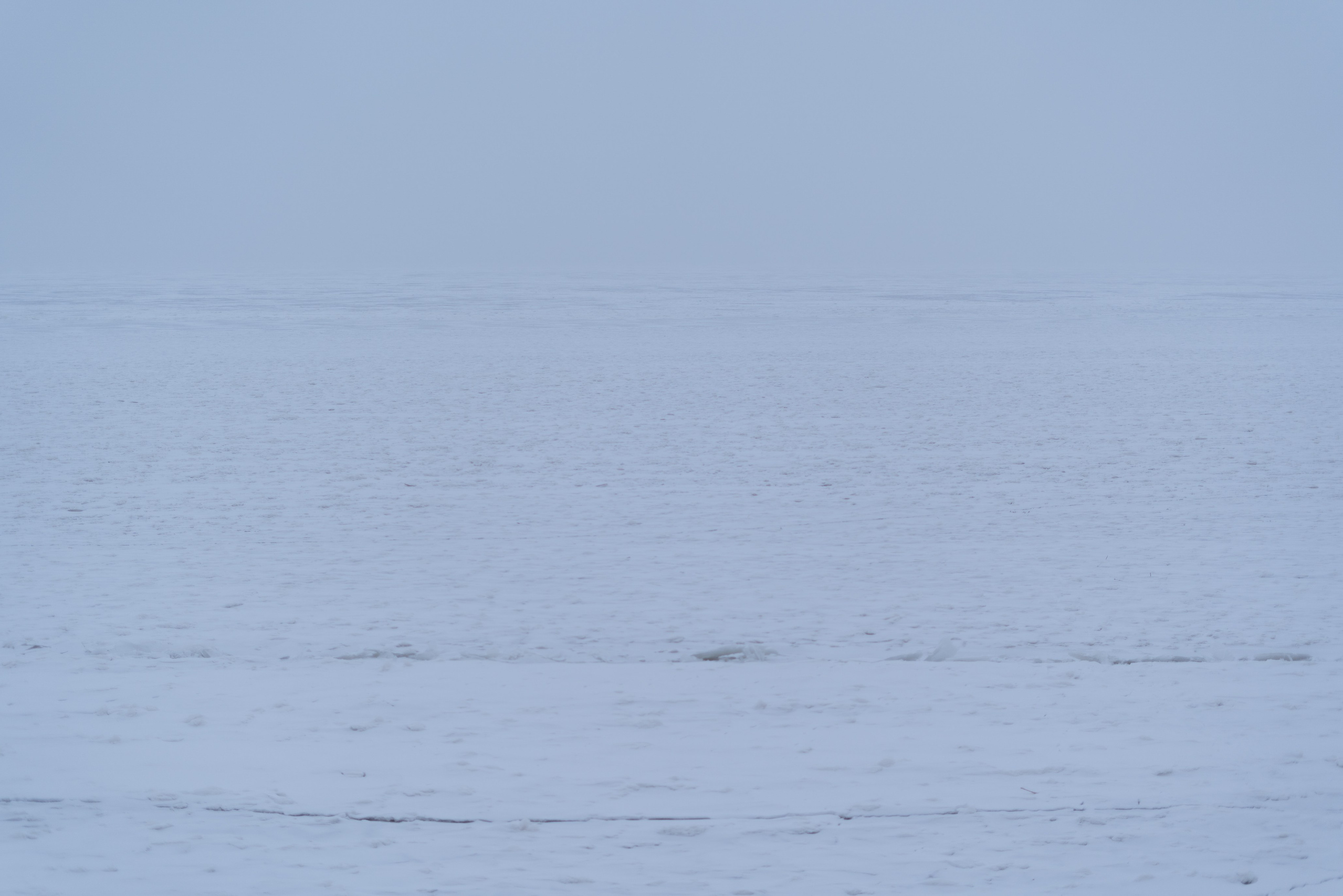 365 Фоточеллендж | 365 Photochallenge. Семейный и детский фотограф Гончарова Елена | Волжский, Волгоград