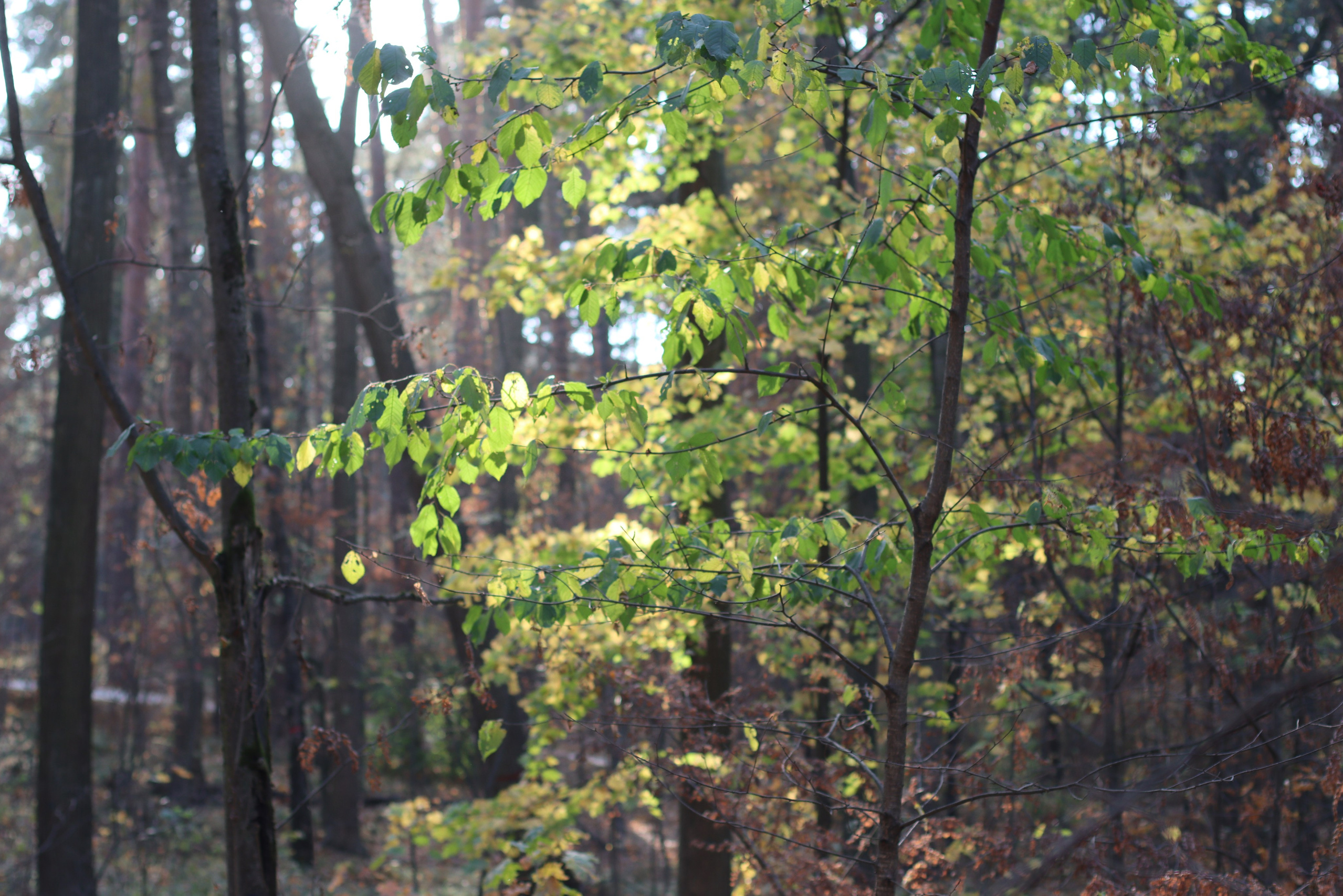 Фотограф, получающий удовольствие от своей работы