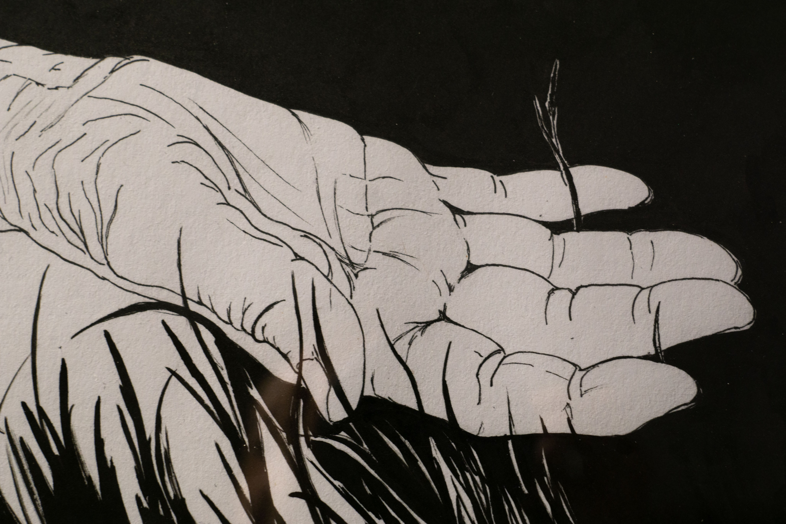 Локус. Anna Vishnevskaya