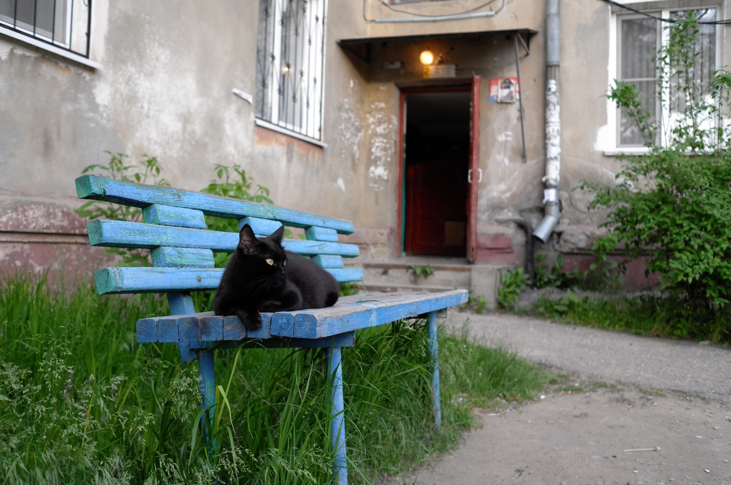 What are you shooting. M a s h a T k a c h e n k o