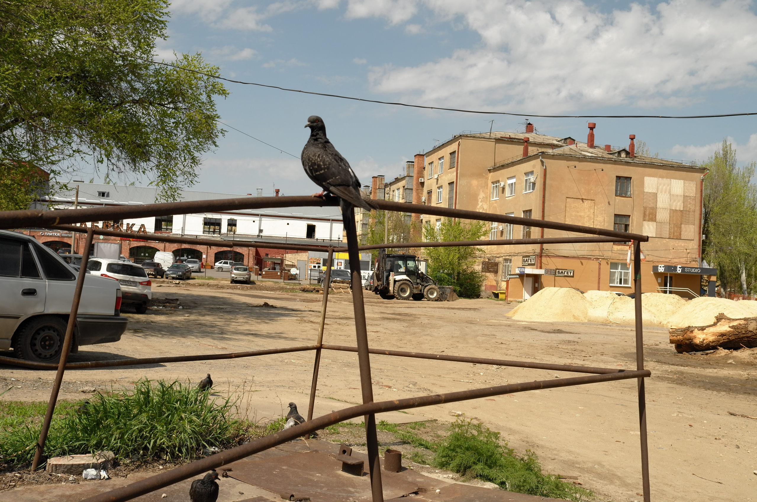 What are you shooting. M a s h a T k a c h e n k o