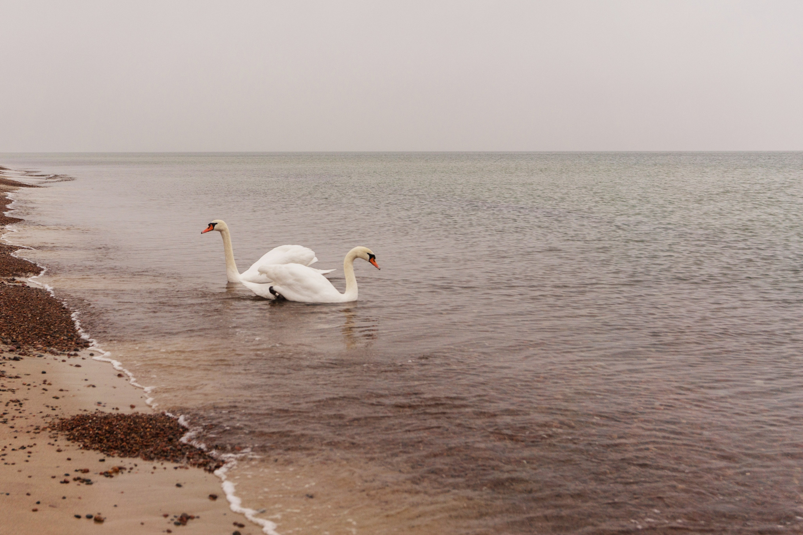 В поисках моря. Арт-фотография, терапевтическая фотография в Москве. Фотограф Анна Ермолова