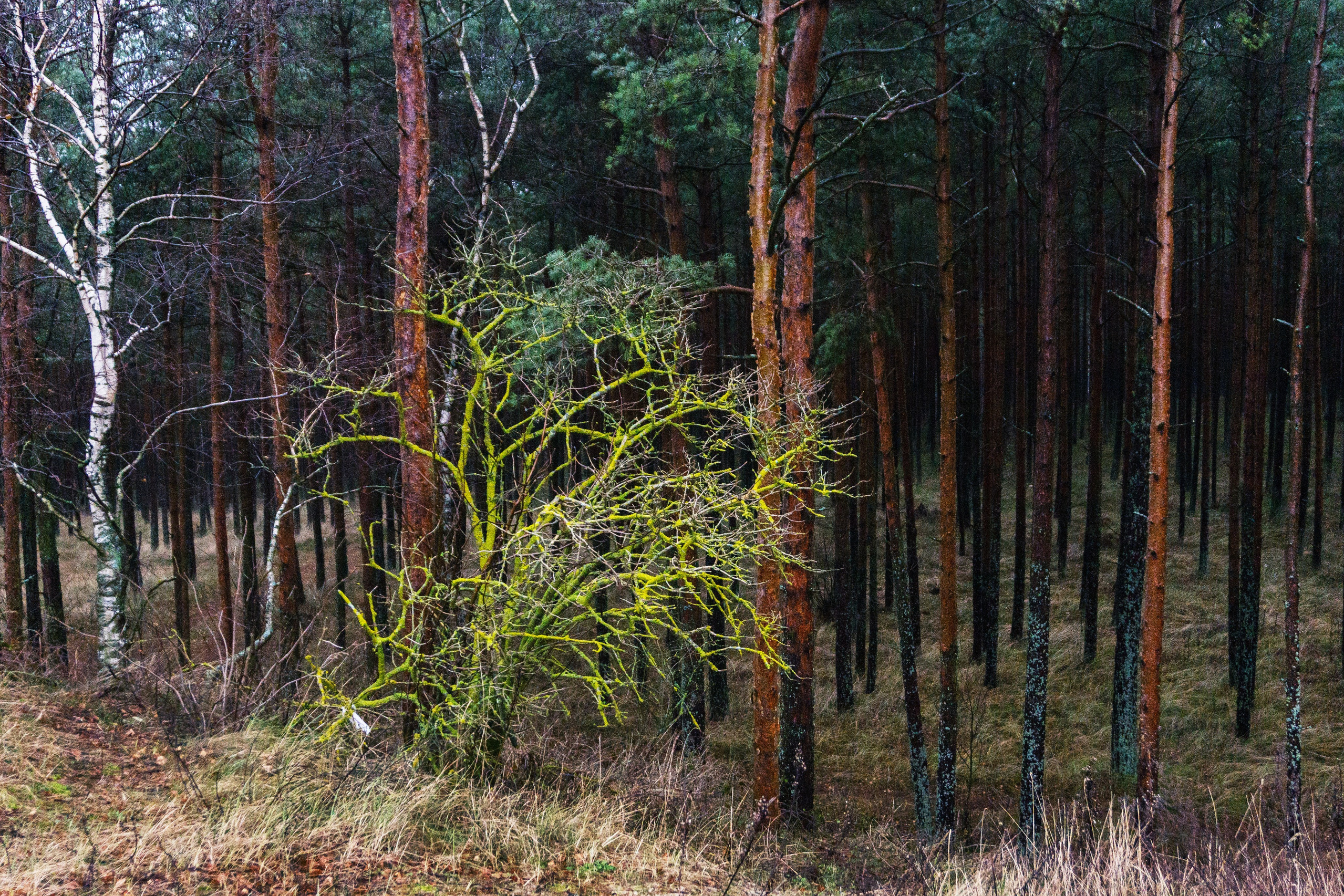 В поисках моря. Арт-фотография, терапевтическая фотография в Москве. Фотограф Анна Ермолова